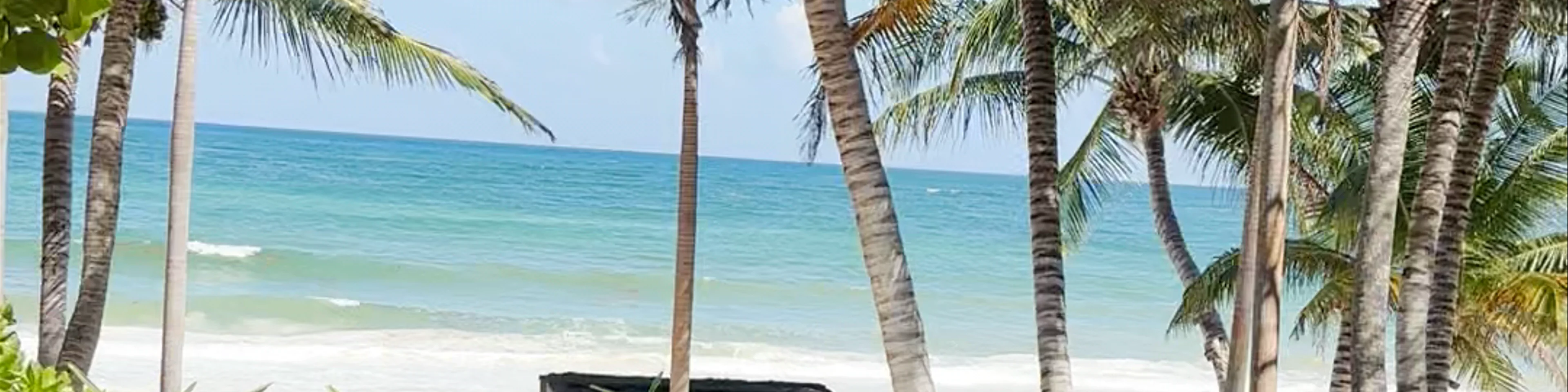 XELA Tulum