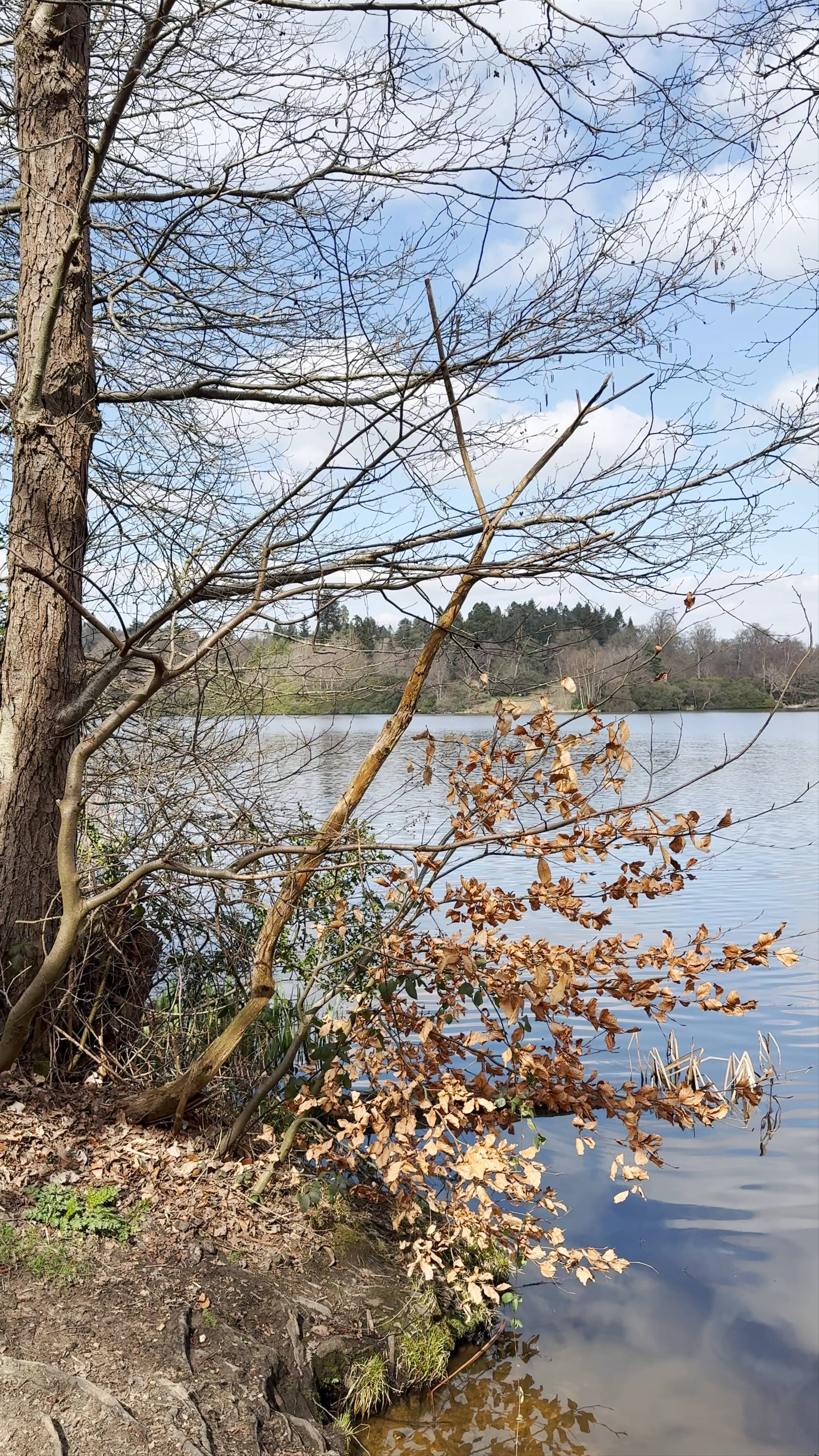 Virginia Water Lake