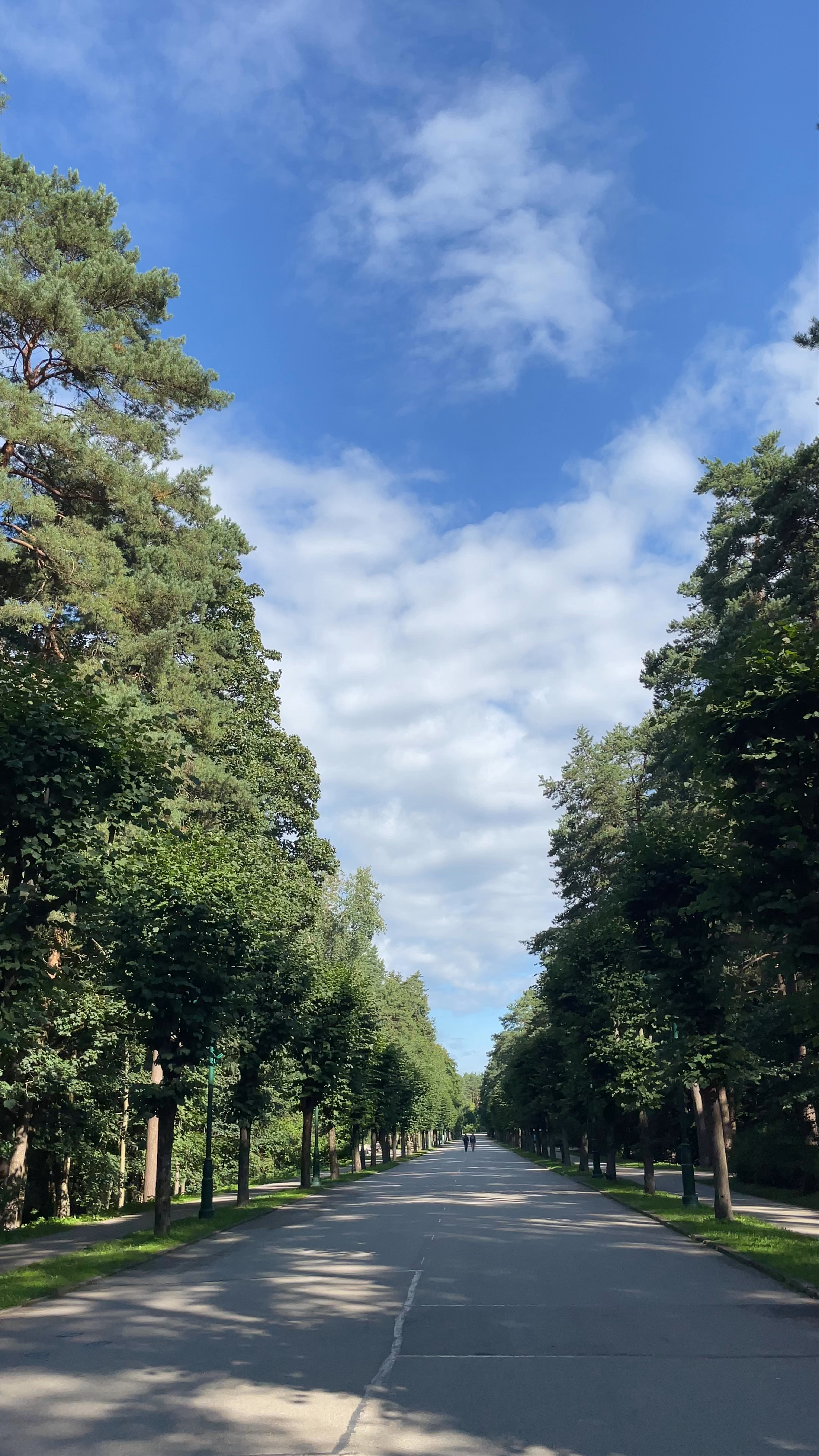 Mežaparks
