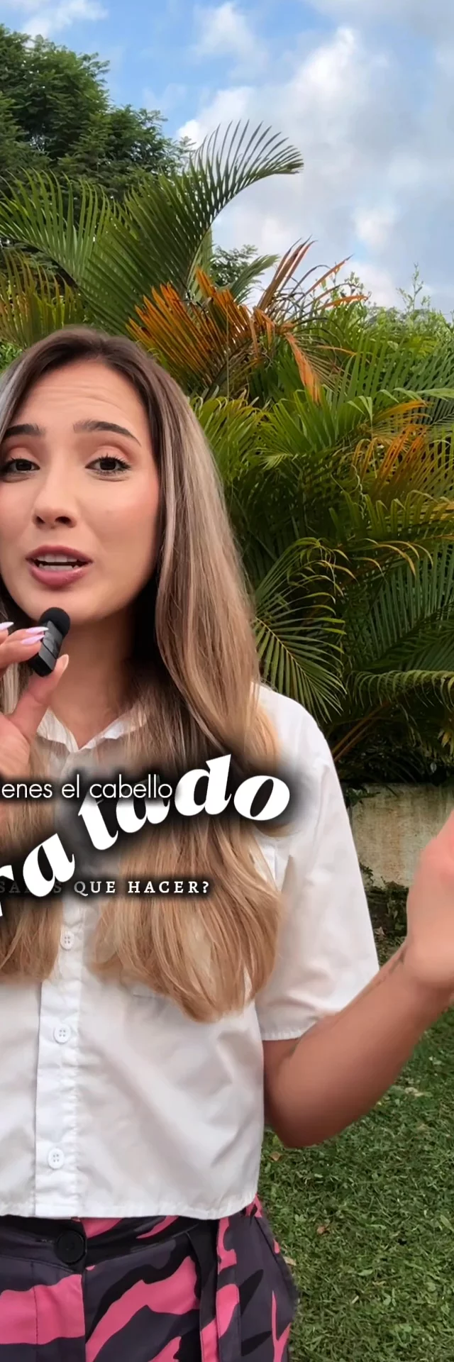 ¿Cabello maltratado?