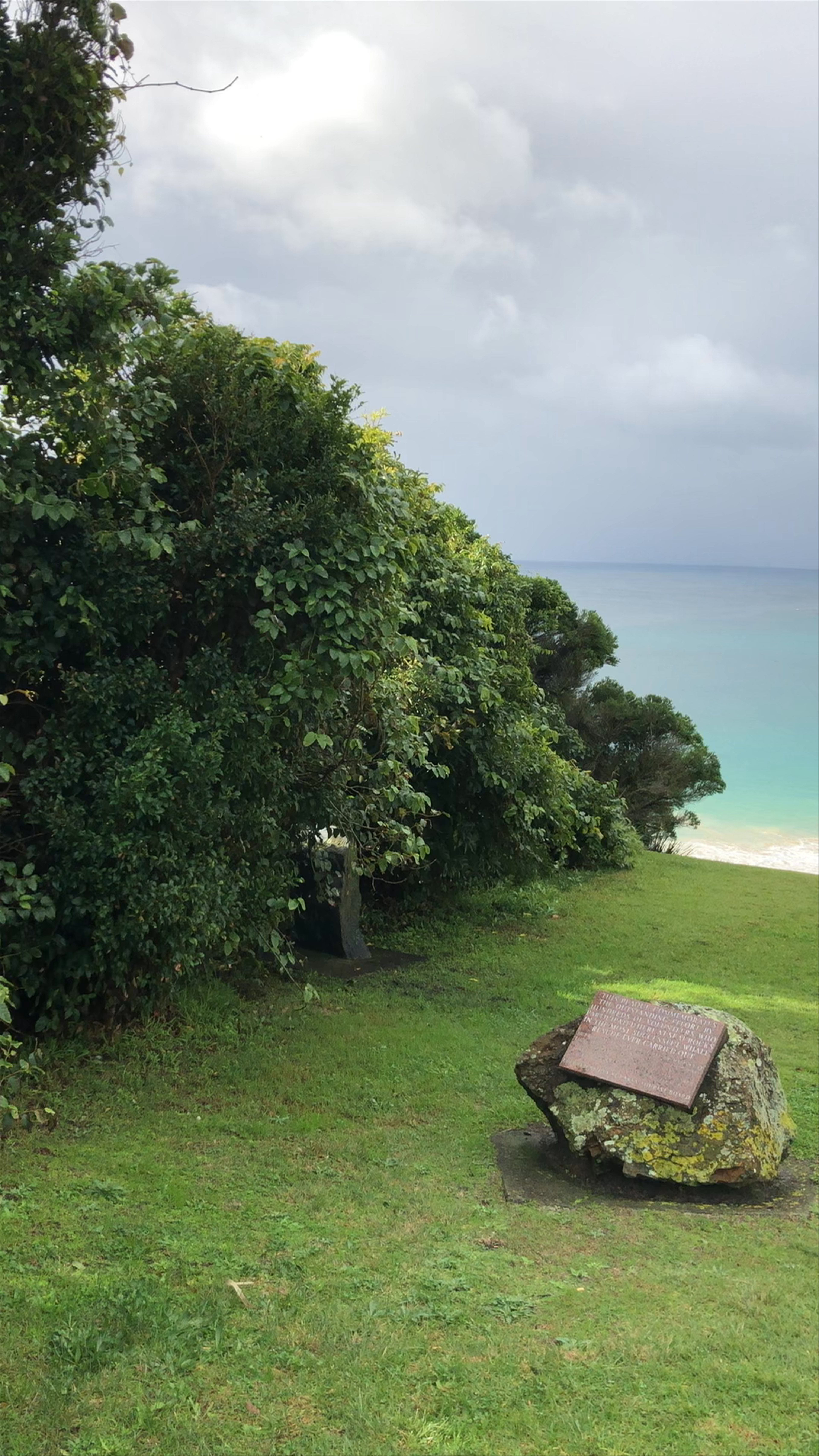 Boat Beach, Seal Rocks: Serene Coastal Escape in New South Wales