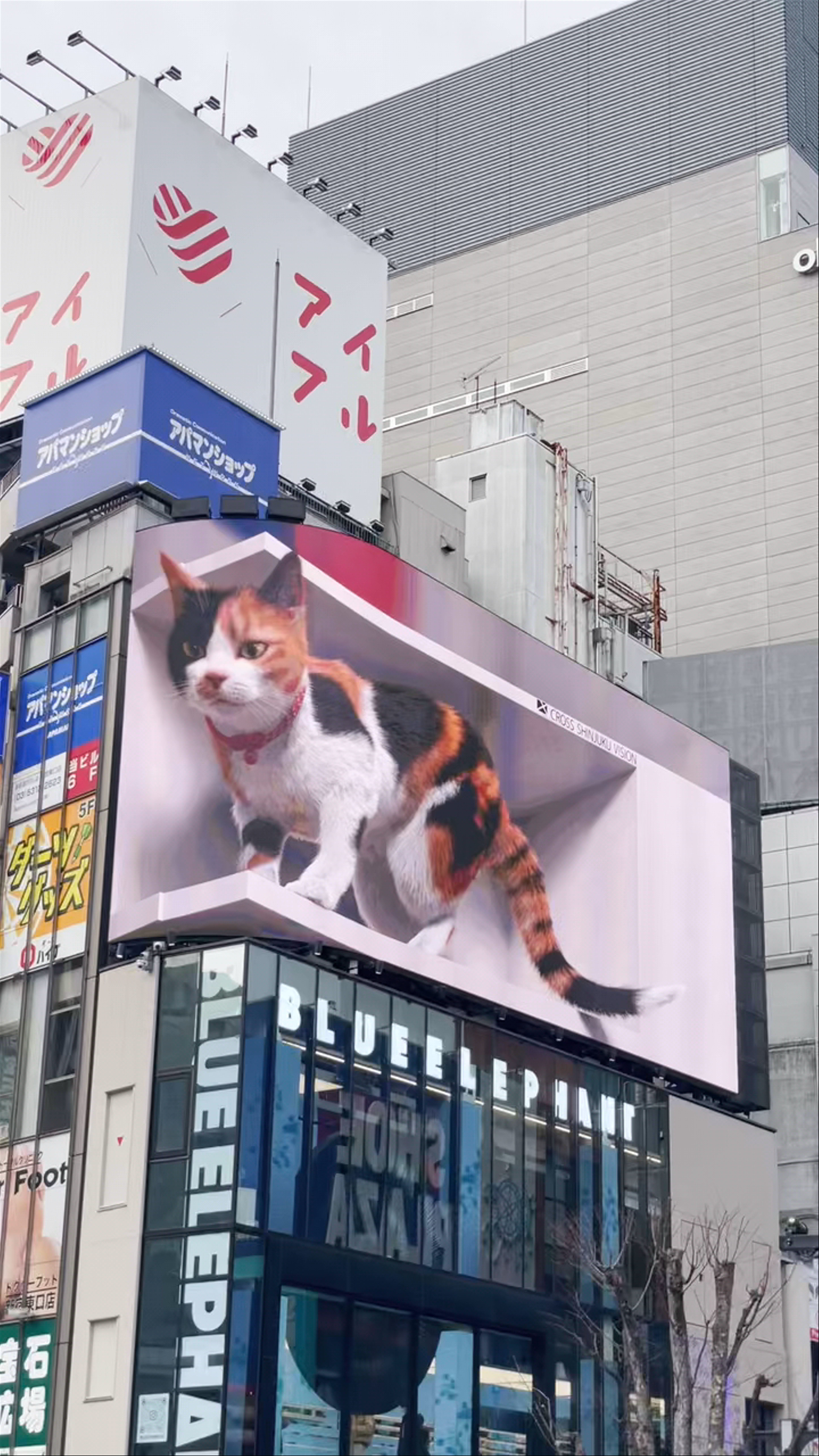 Shinjuku FACE