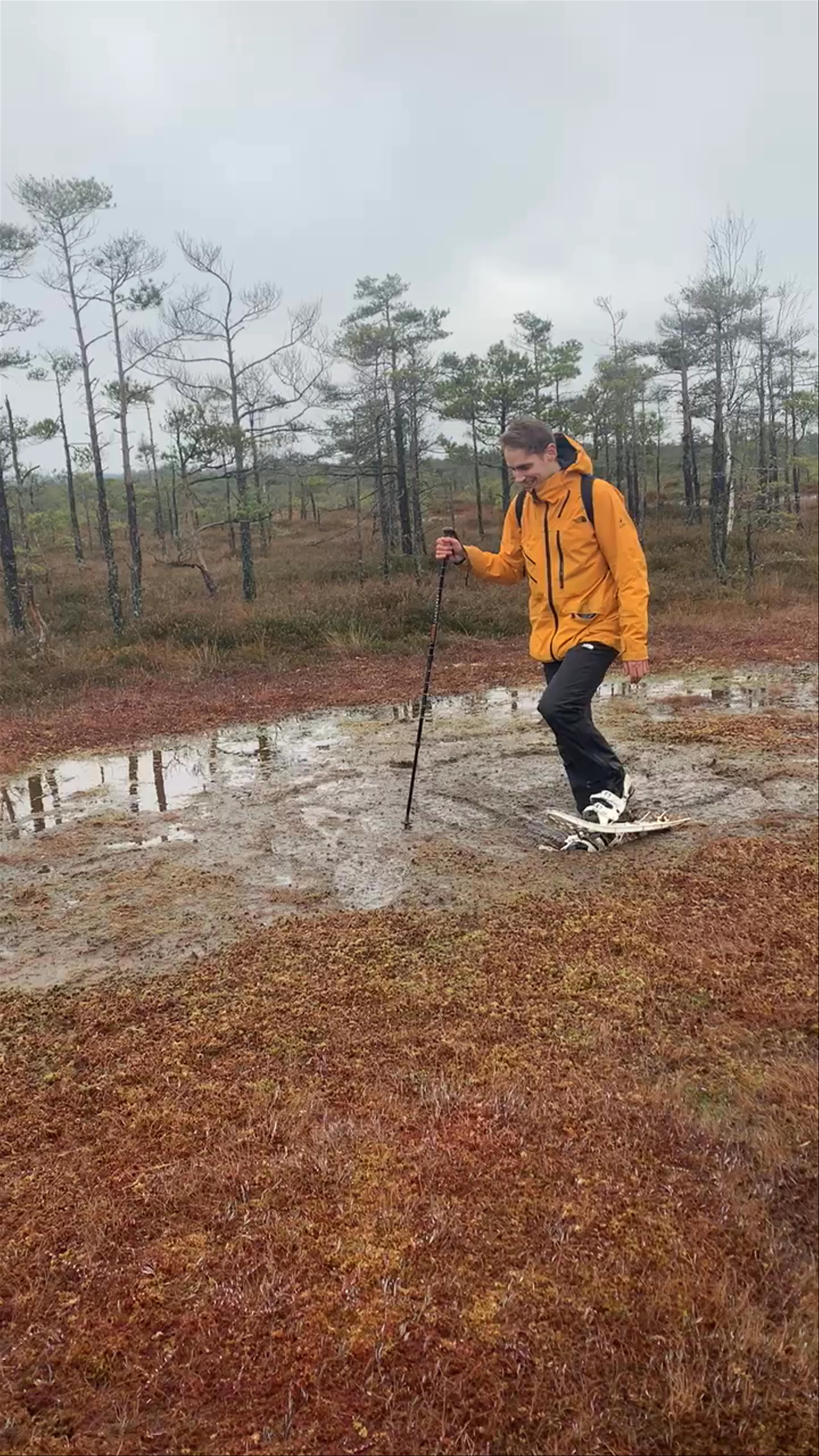Ķemeri National Park, Pavasari, Sala Parish, Latvia