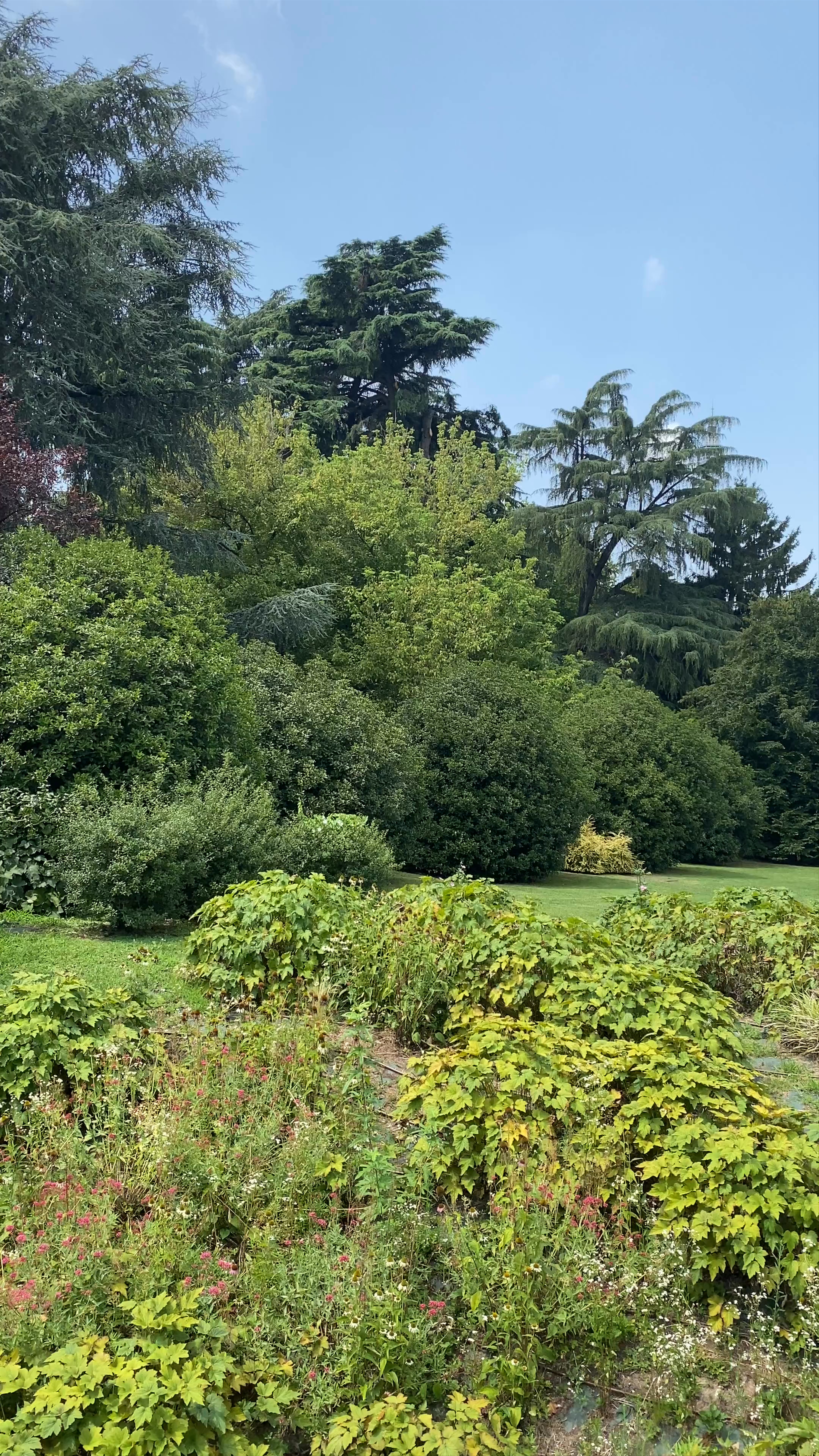 Sempione Park: A Verdant Oasis in the Heart of Milan