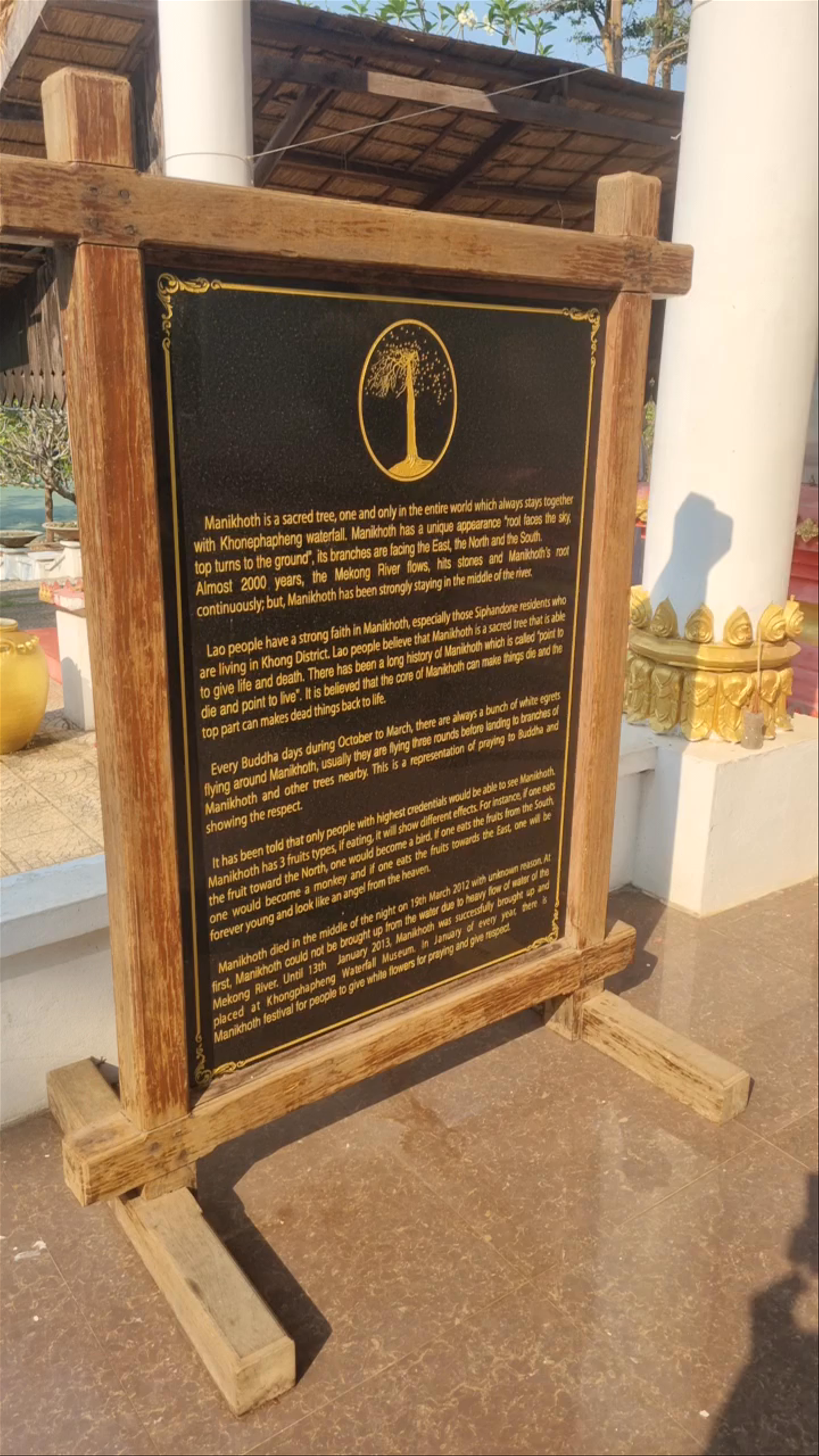 Manikhoth Sacred Tree