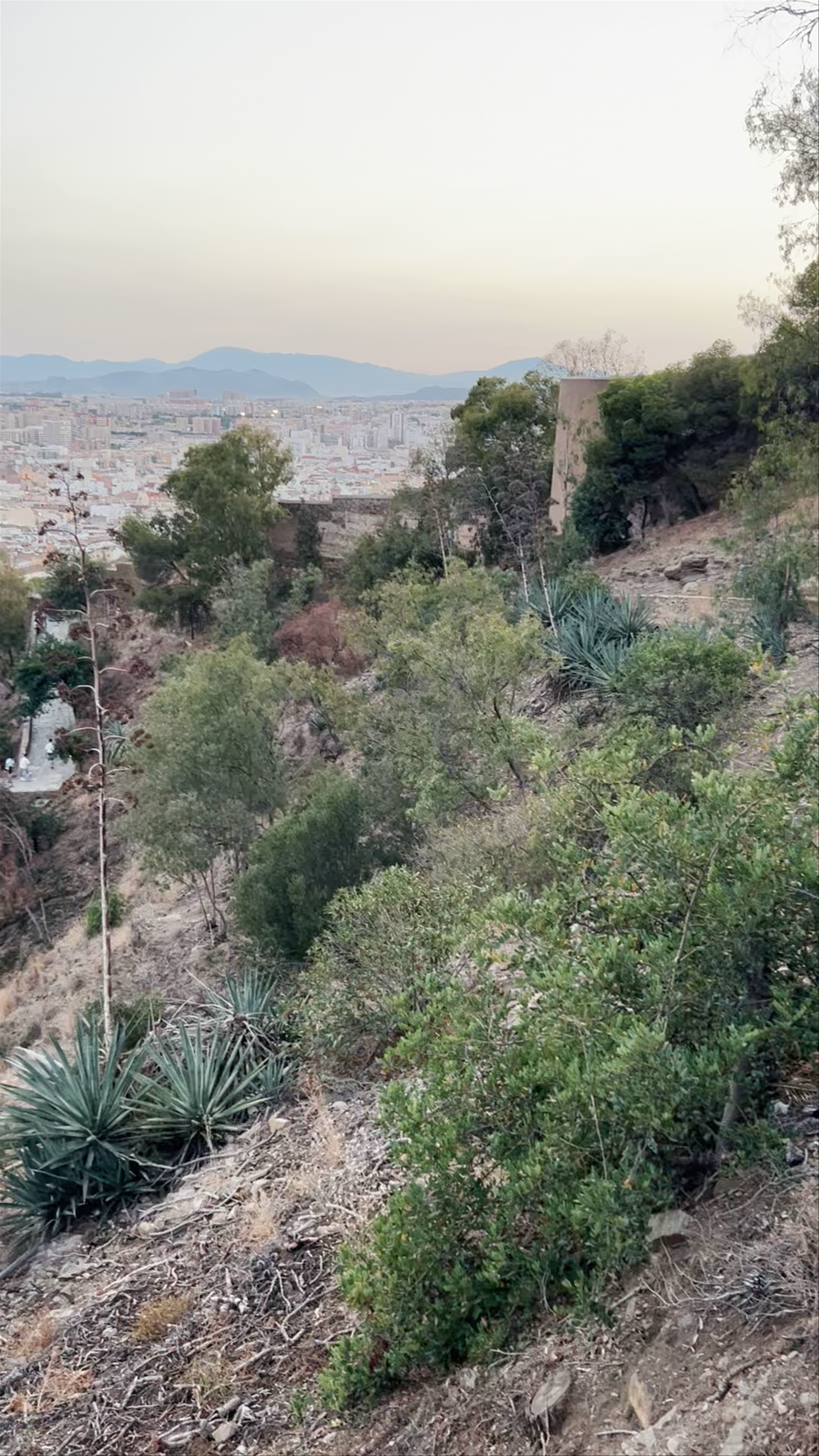 Mirador de Gibralfaro