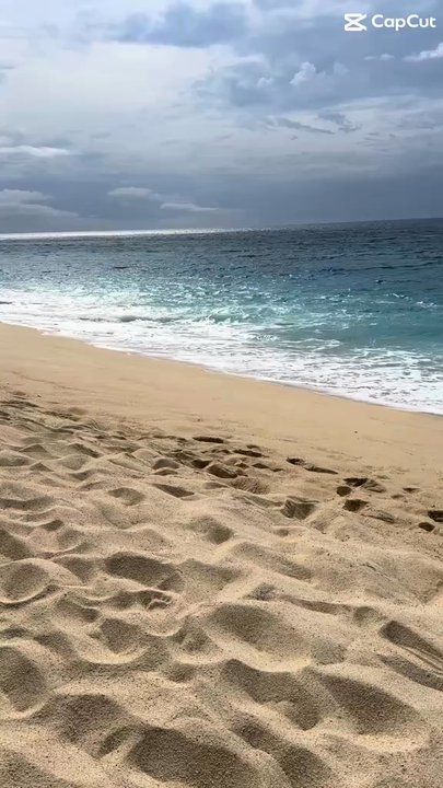 Sookoo’s Travel - Cabo San Lucas - Travel Services Near Me