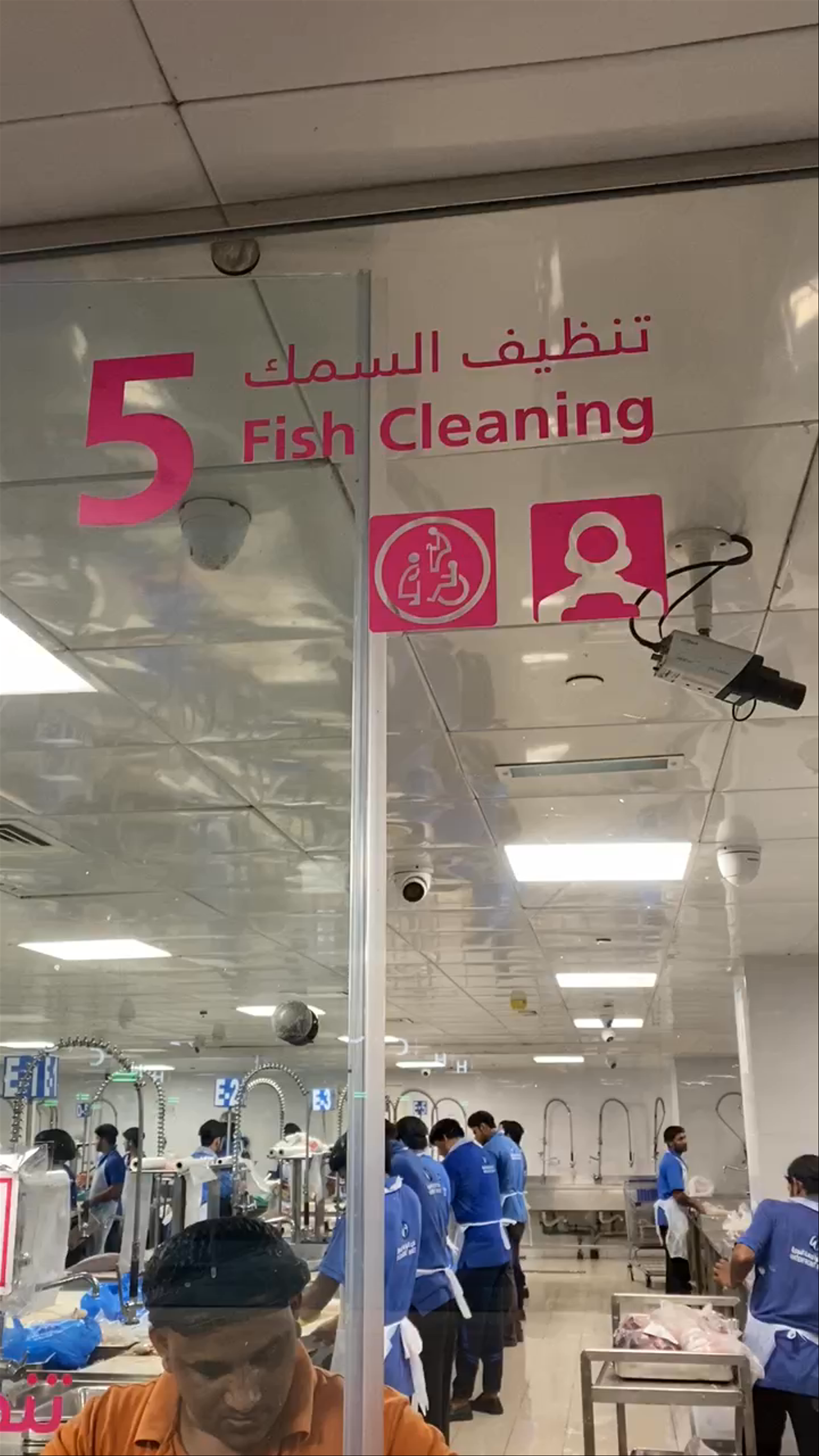 Fish Market Dubai: Behind the Scenes of Fish Cleaning