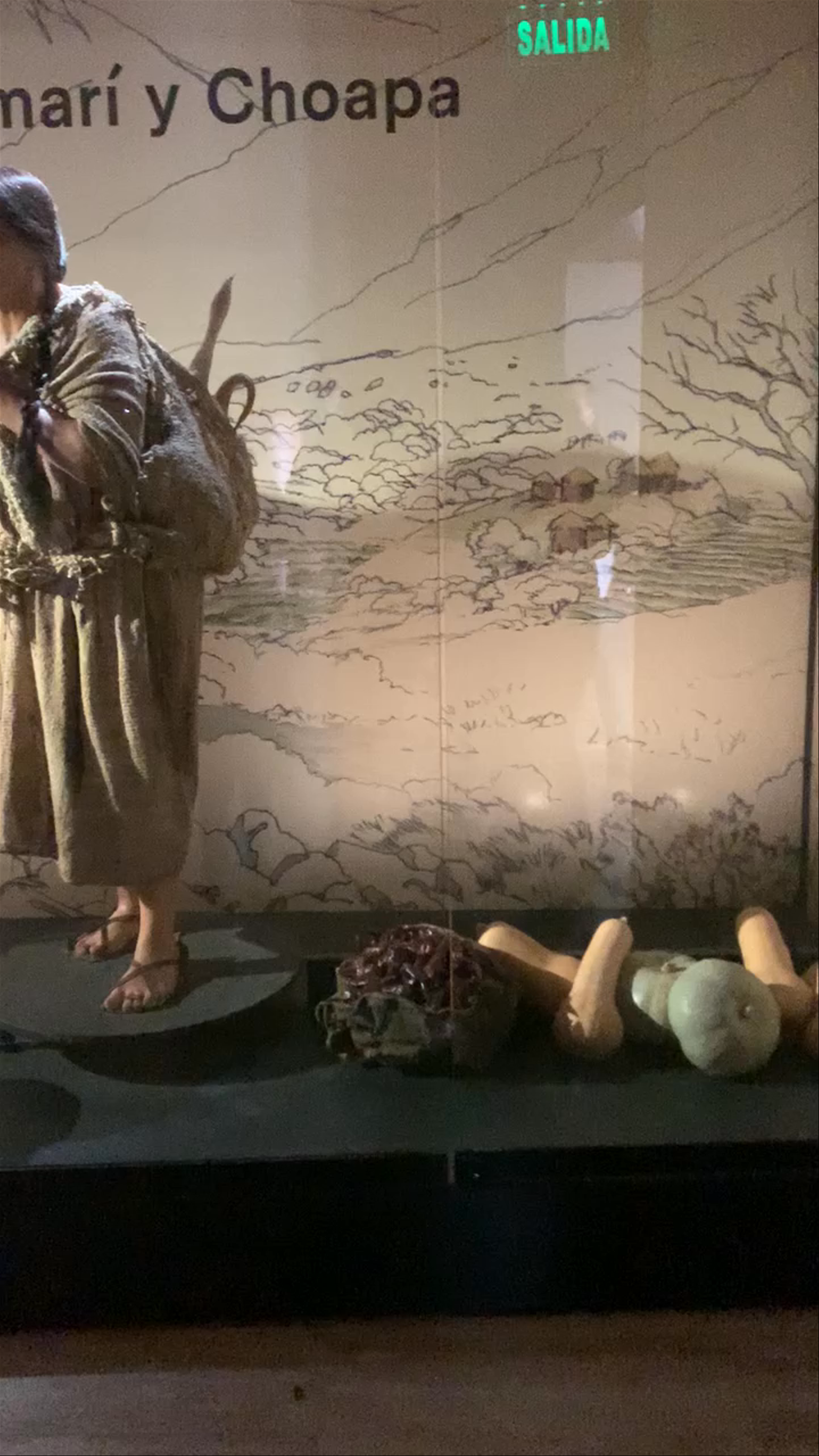 Museo Arqueológico de La Serena