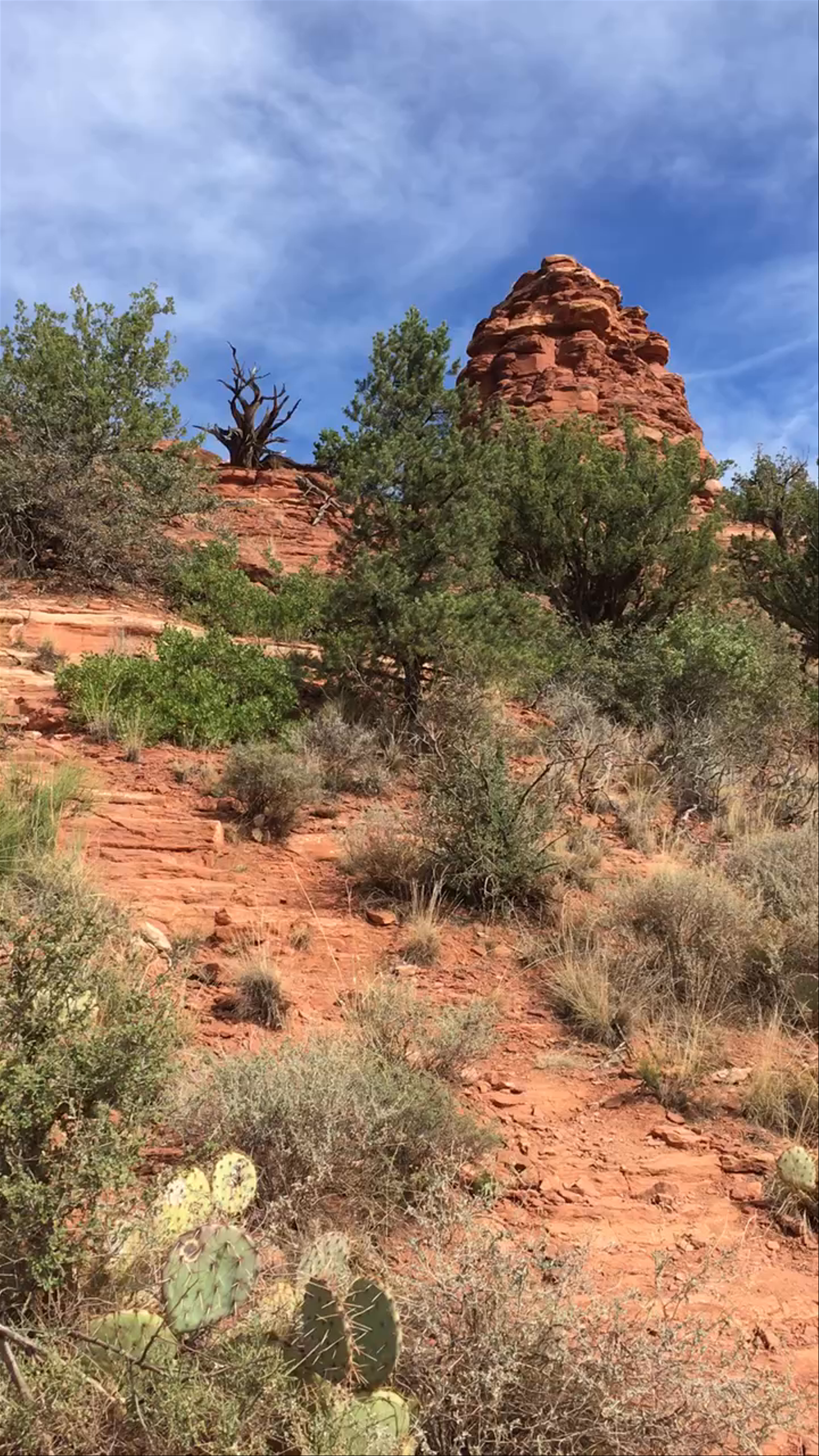 Boynton Canyon Trail