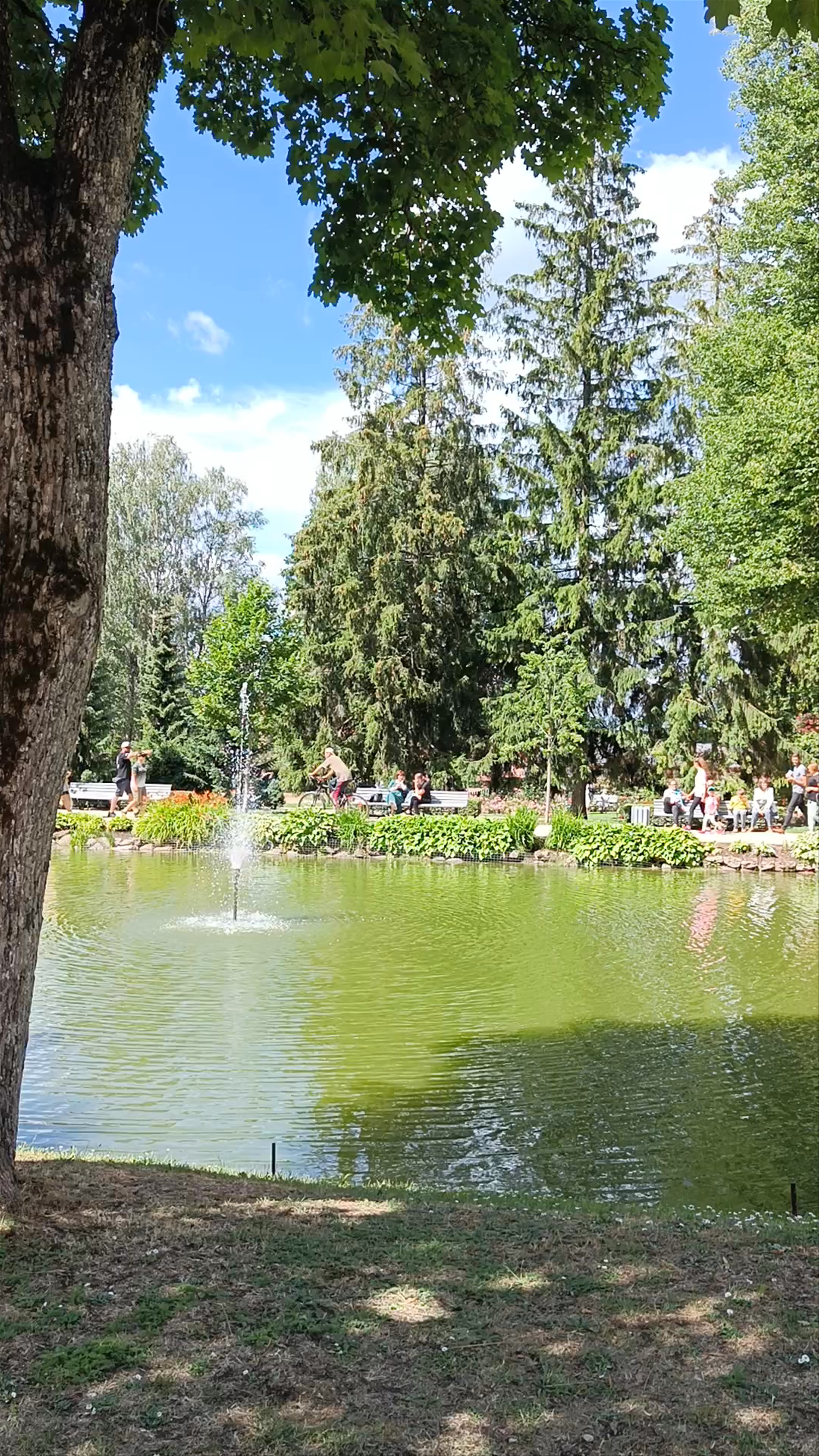 Maija Parks: A Summer Day in Cēsis' Serene Urban Oasis