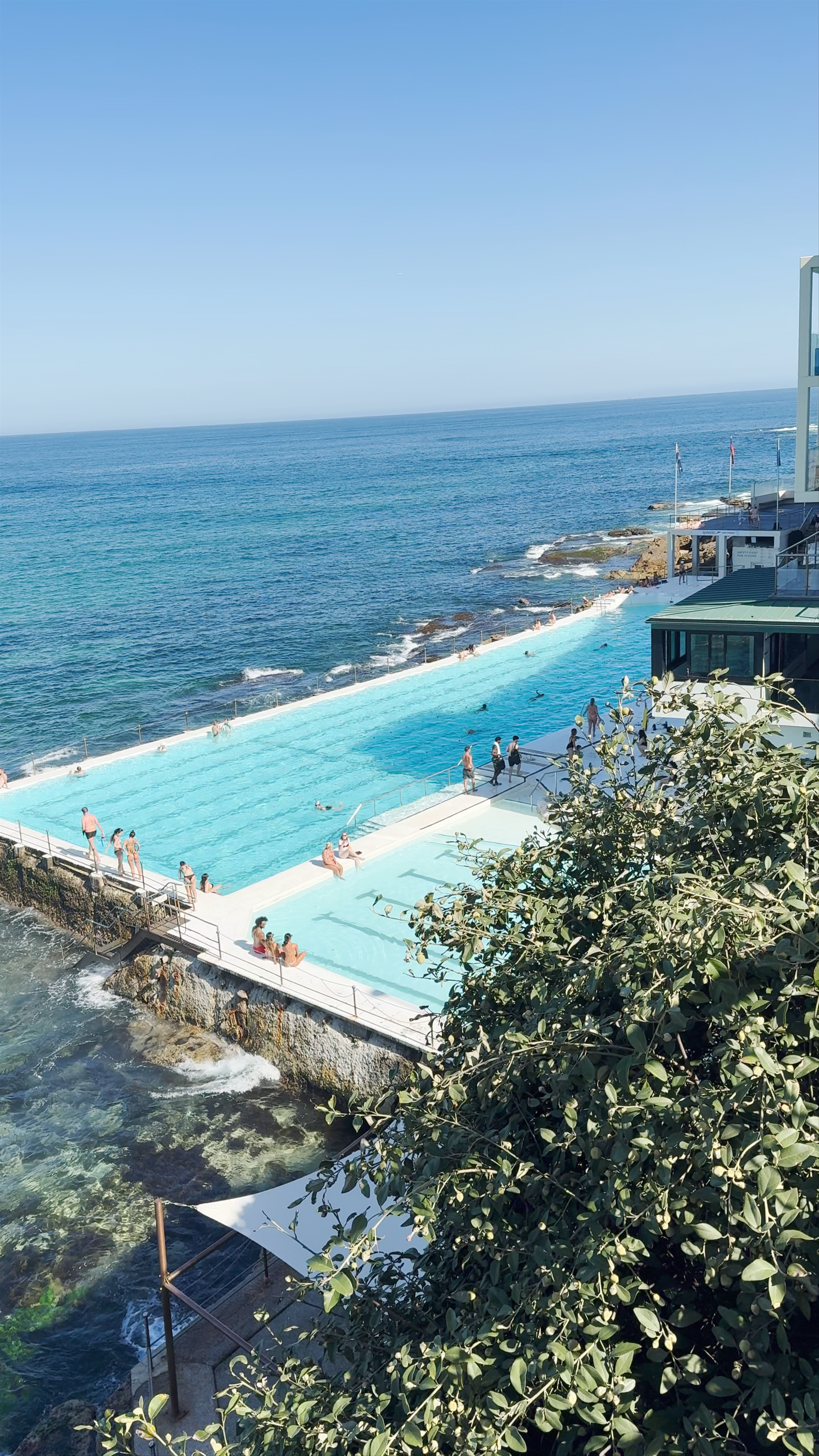 Bondi Icebergs POOL