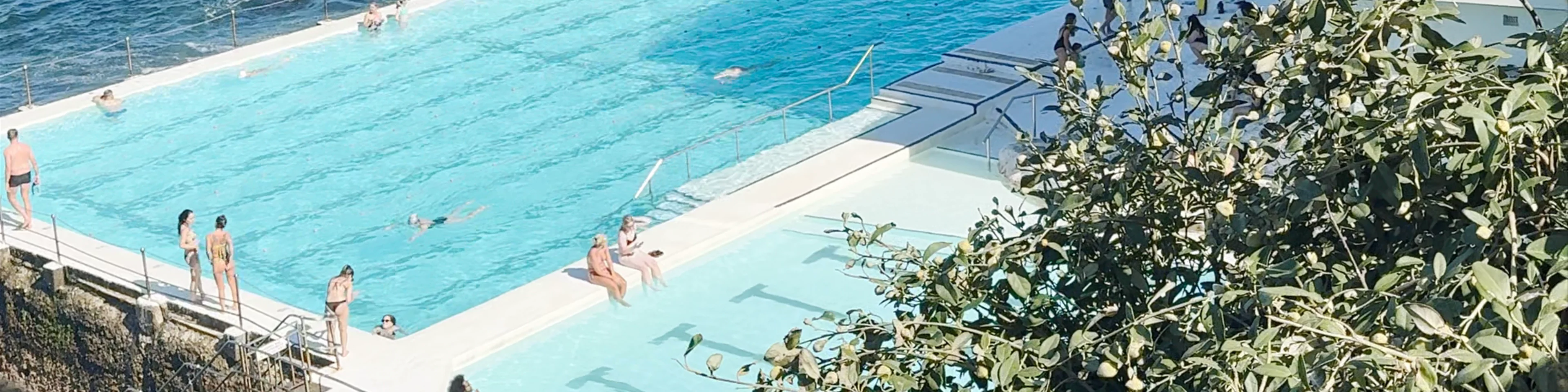 Bondi Icebergs POOL