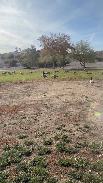 Cornerstone Park - Lakes Near Me - Henderson, Nevada