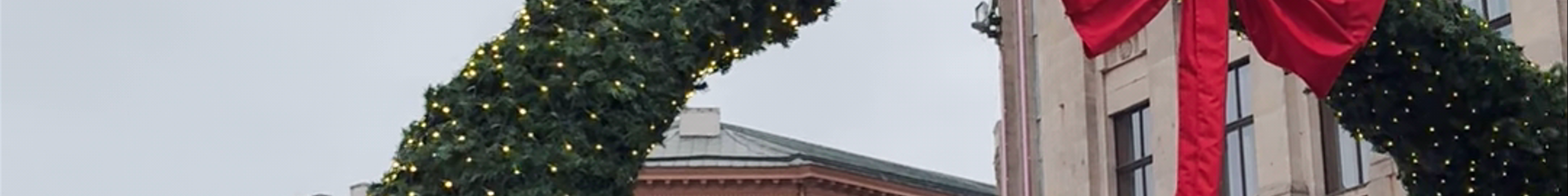 Tours & experiences in Latvia