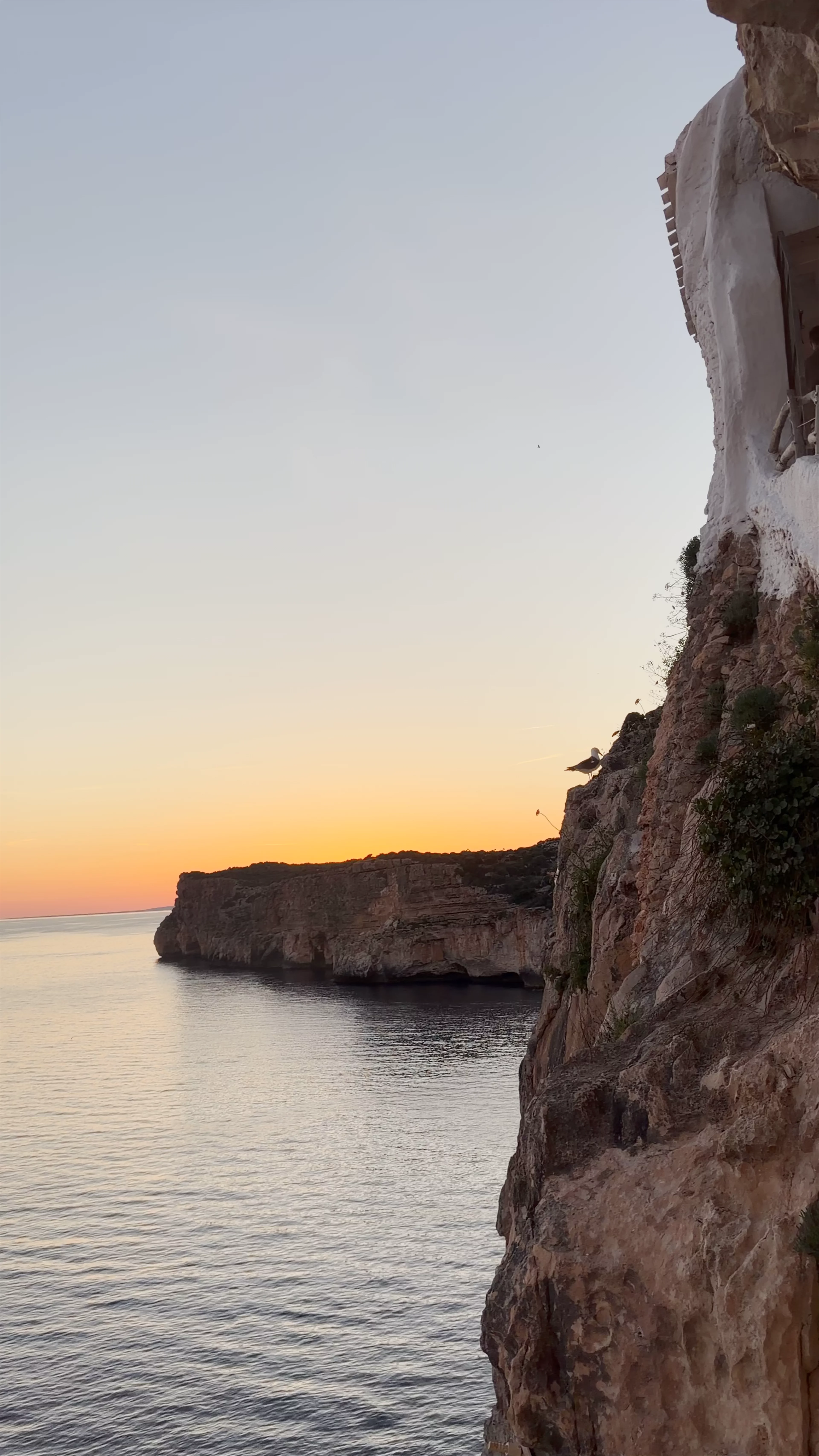 Cova d'en Xoroi
