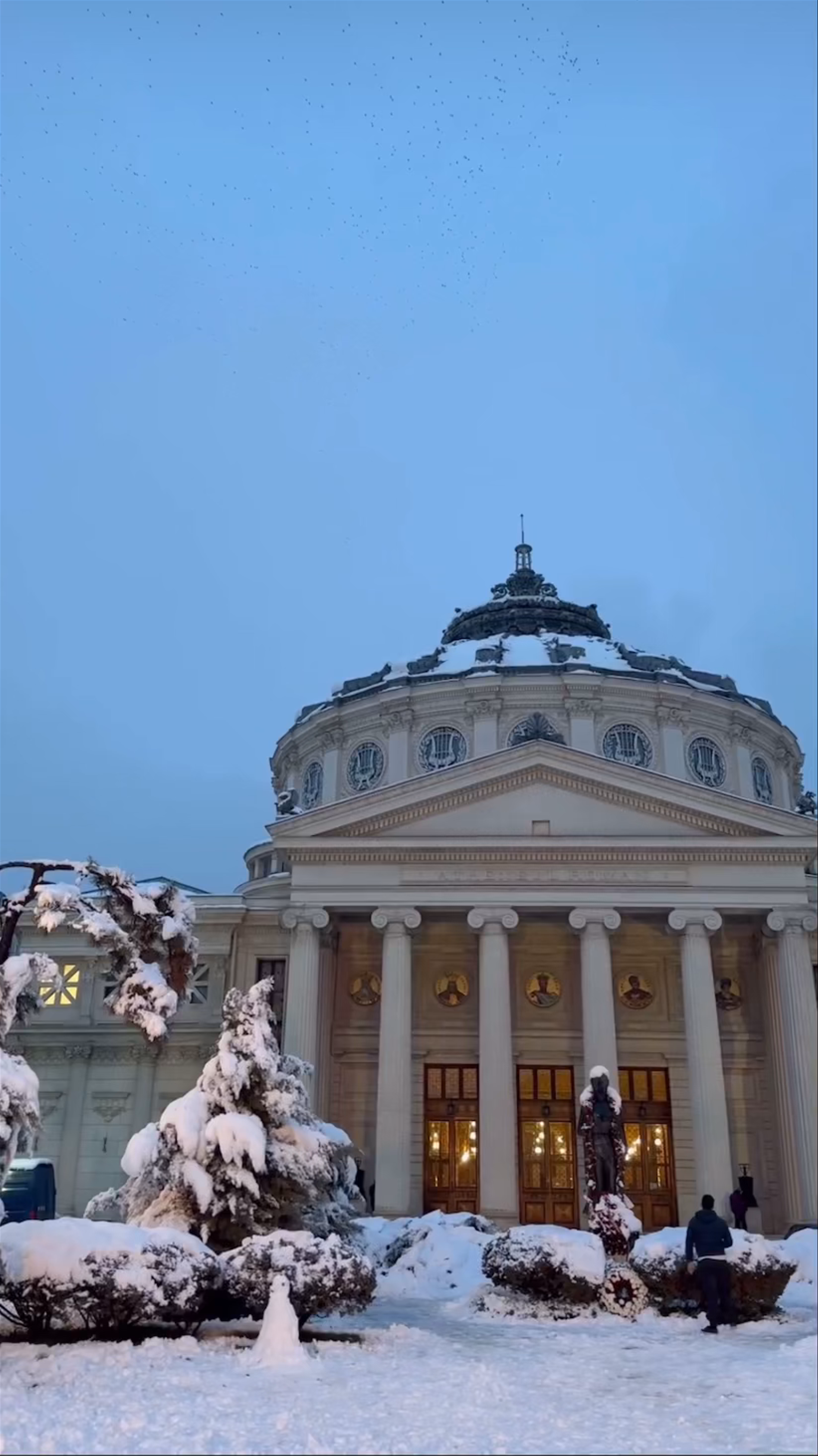 Winter Magic at Romanian Athenaeum in Bucharest