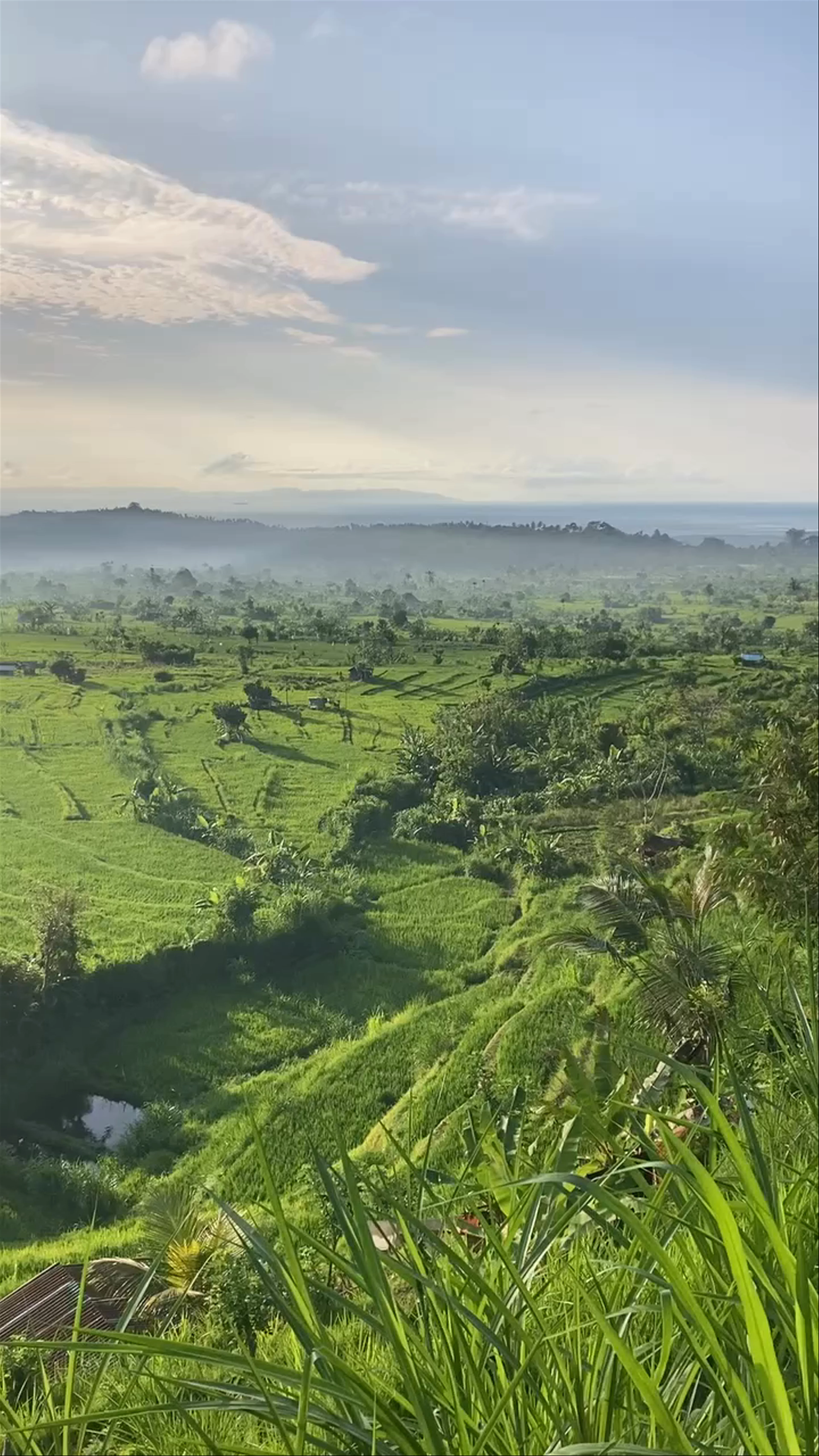 Peladung Village Rice Field View and Terrace