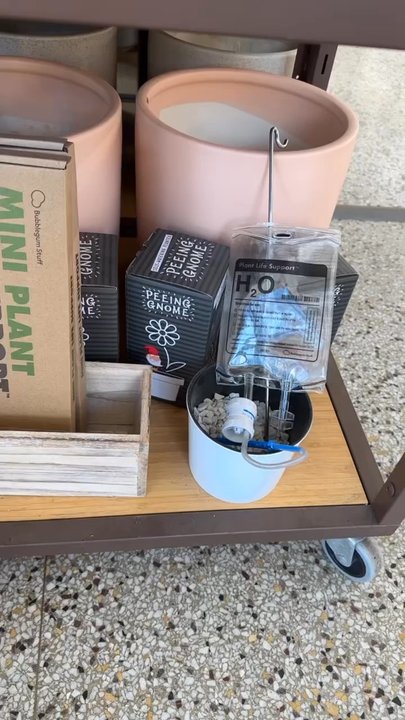 Sunnyside Plants - Nurseries & Gardening Near Me - Chicago, Illinois