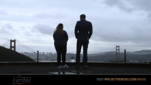 Video Thumbnail Loop