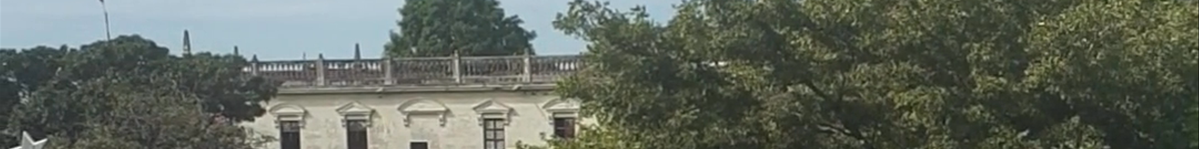 Tours & experiences in León