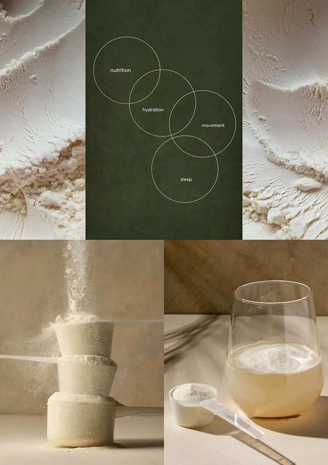 FITNESS SUPPLEMENTS GUIDE | protein powder, creatine