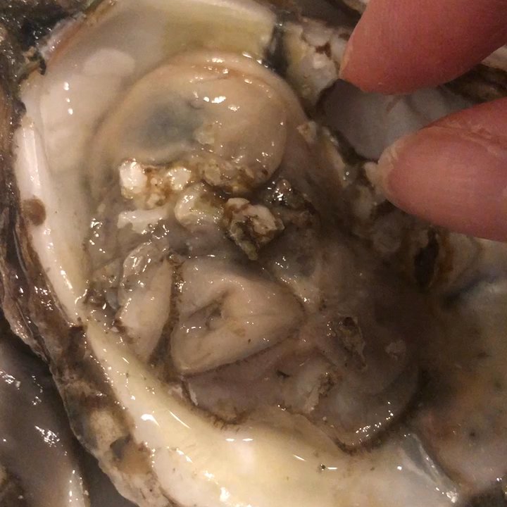 Safeway - Poorly shucked oysters shells everywhere - Grocery Near Me - Washington, DC, District of Columbia