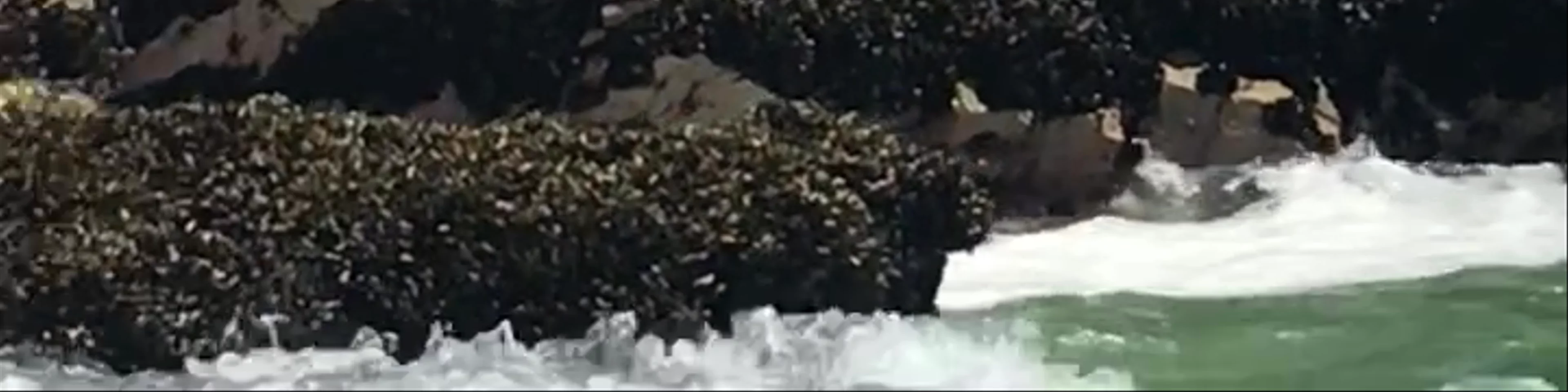Ballestas Islands