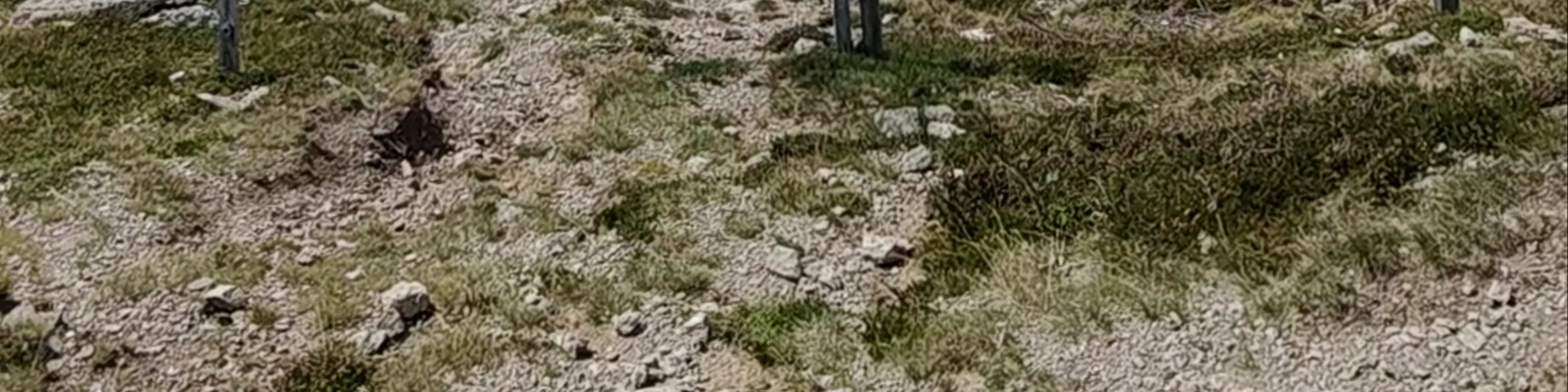 Obermillstätter Almkreuz