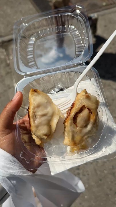 Tasty Dumpling - 1. Chives and Pork Fried Dumplings Plate - Chinese Near Me - New York, New York