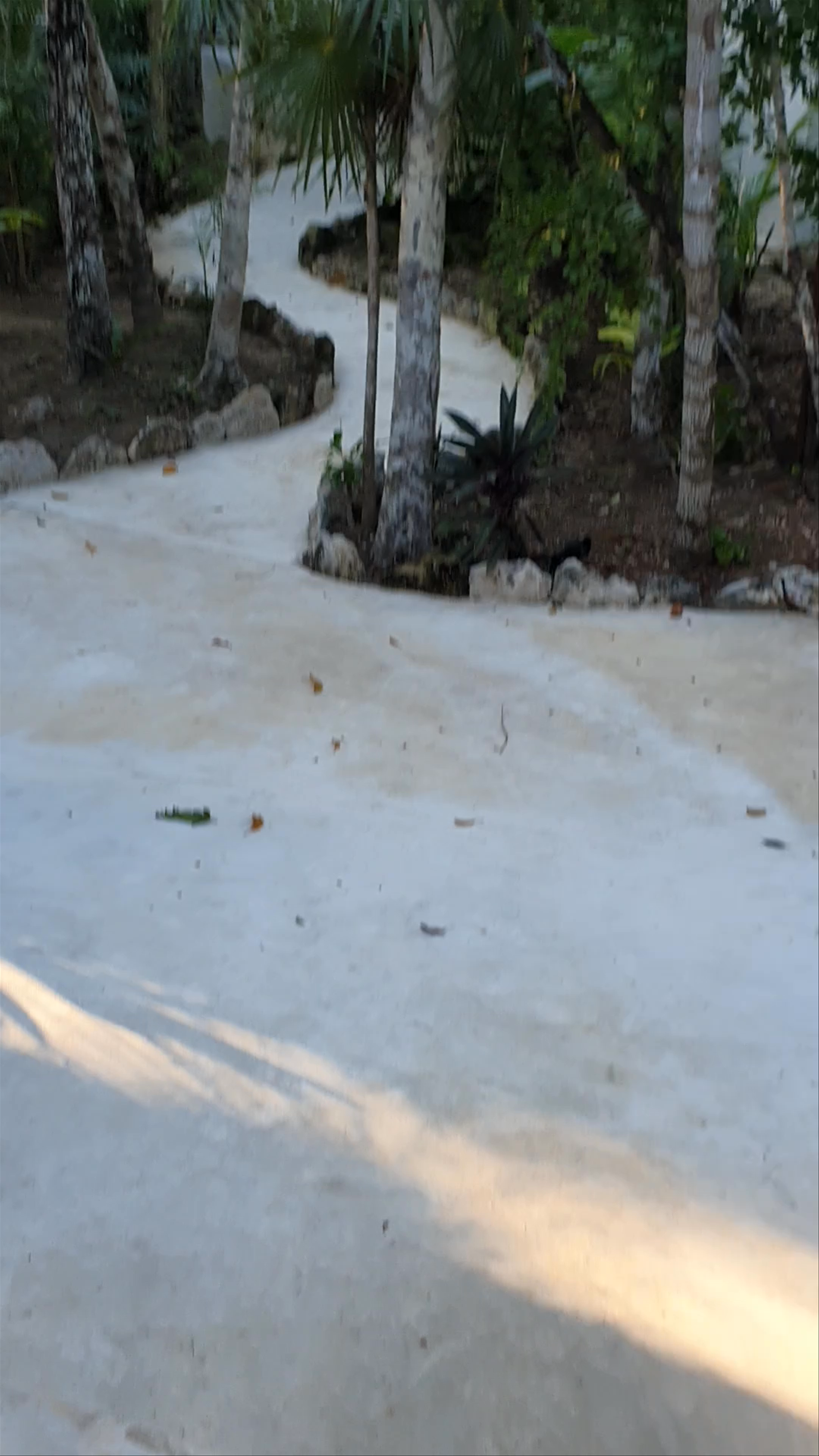 Jungle Lodge Boutique Hotel: Serene Getaway in Tulum's Tropical Heart