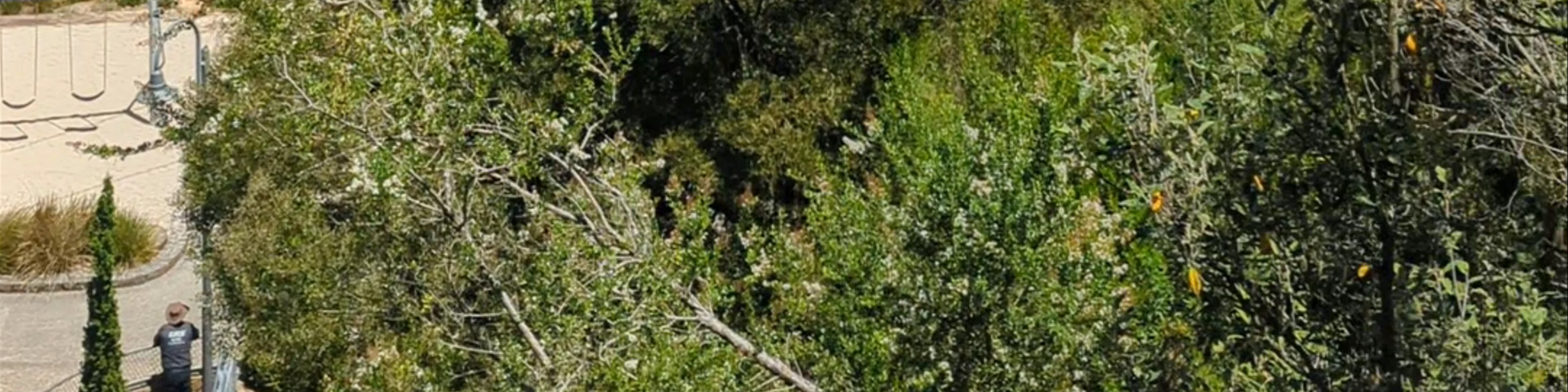 Cataract Gorge Reserve