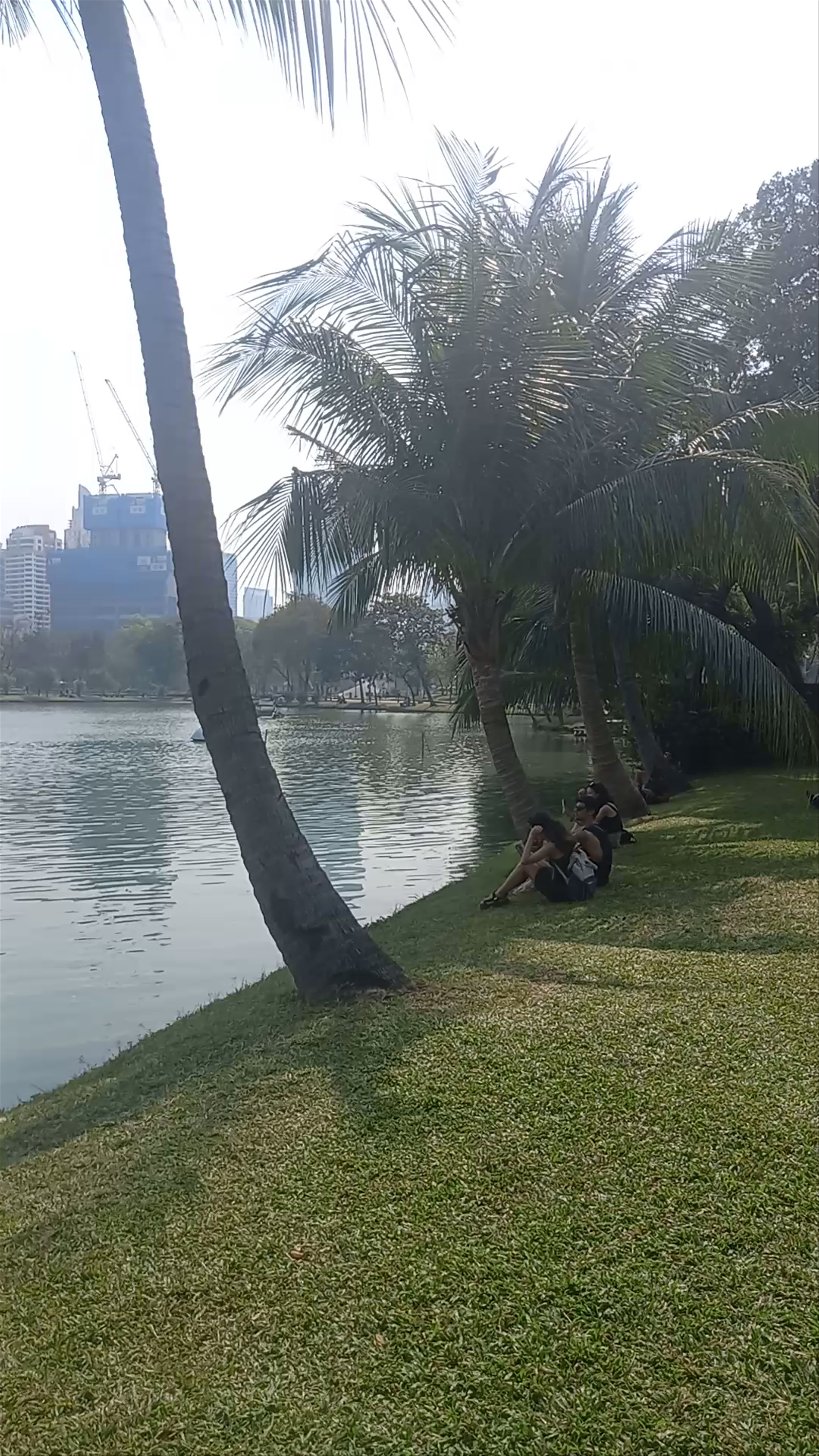 Serene Lakeside Afternoon at Parc Lumpini, Bangkok