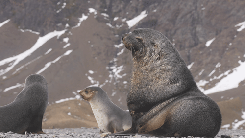 Untitled Work animated gif