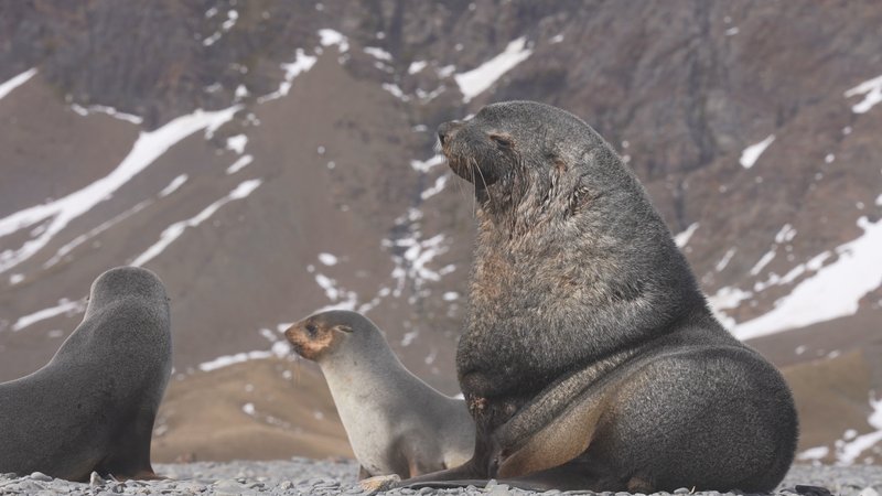 Untitled Work poster