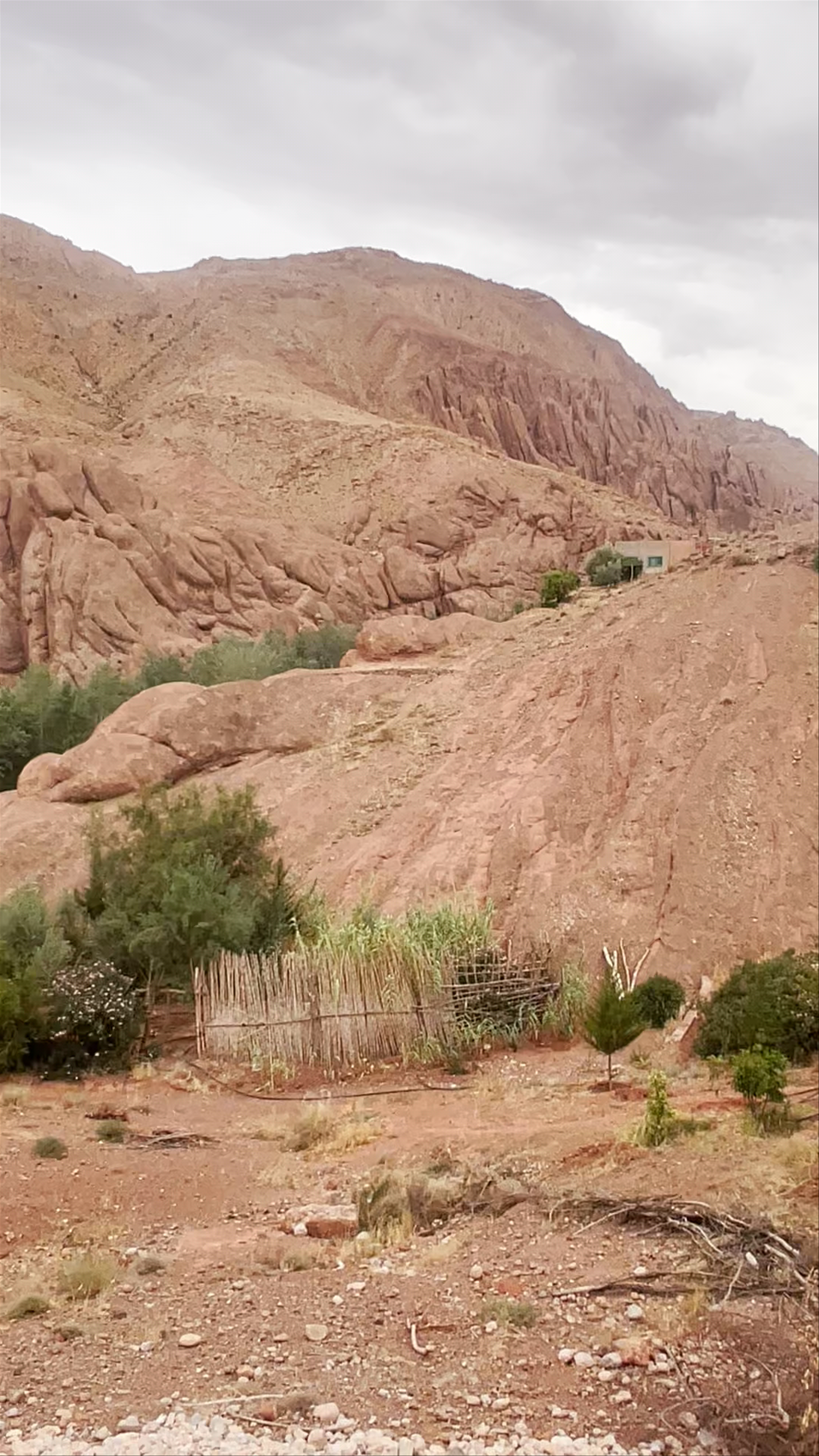 Monkey Fingers View: Rugged Natural Beauty in Aït Sedrat El Jbel Asfel, Morocco