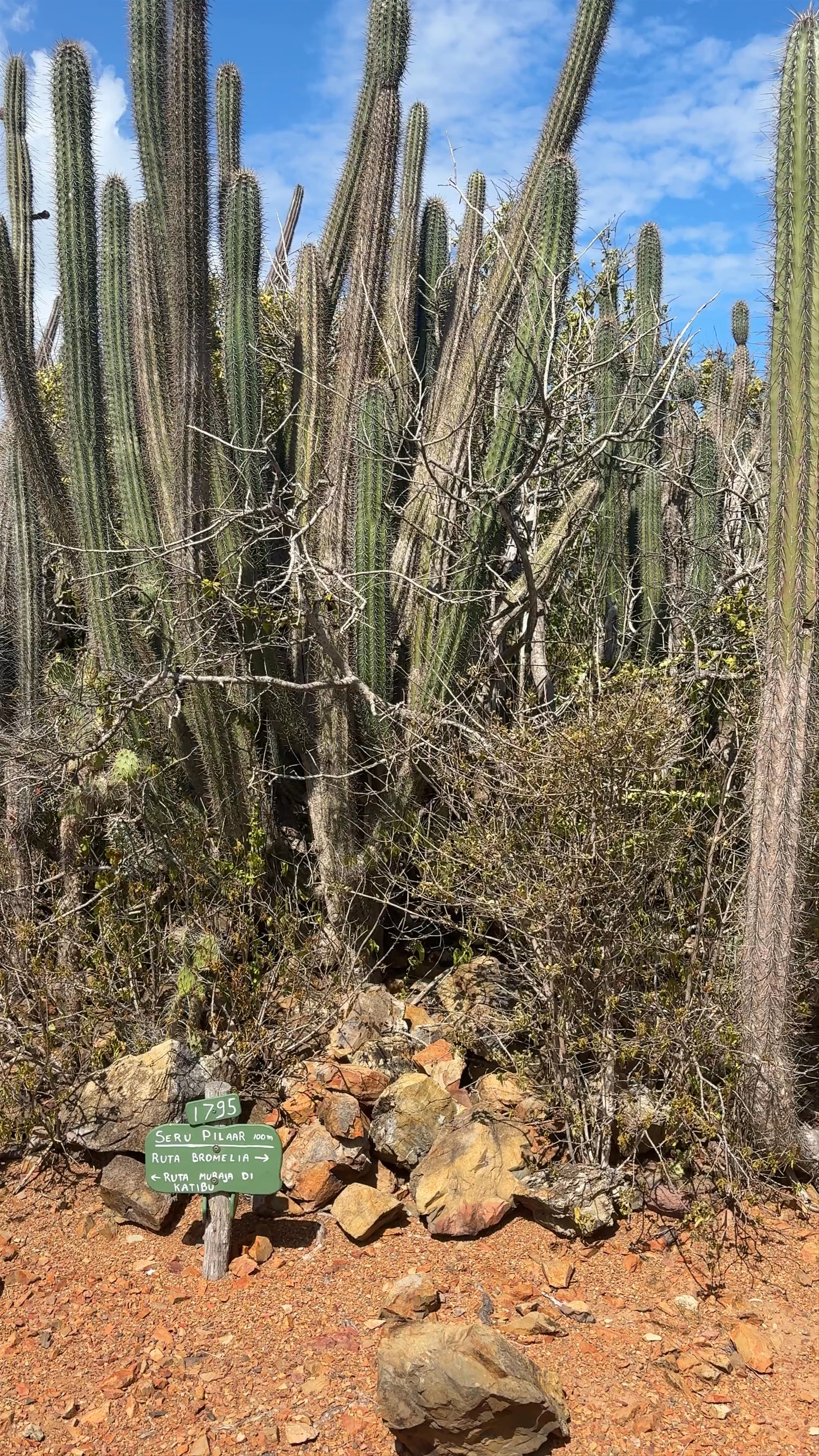 Seru Pilaar summit & viewpoint