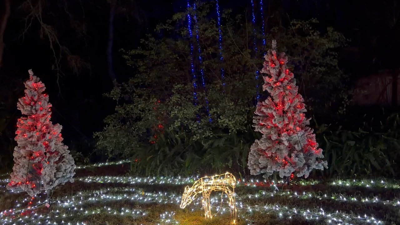 Review video 14 of 32 for Blackhawk Bluff Christmas Lights Display, image size:1280x720