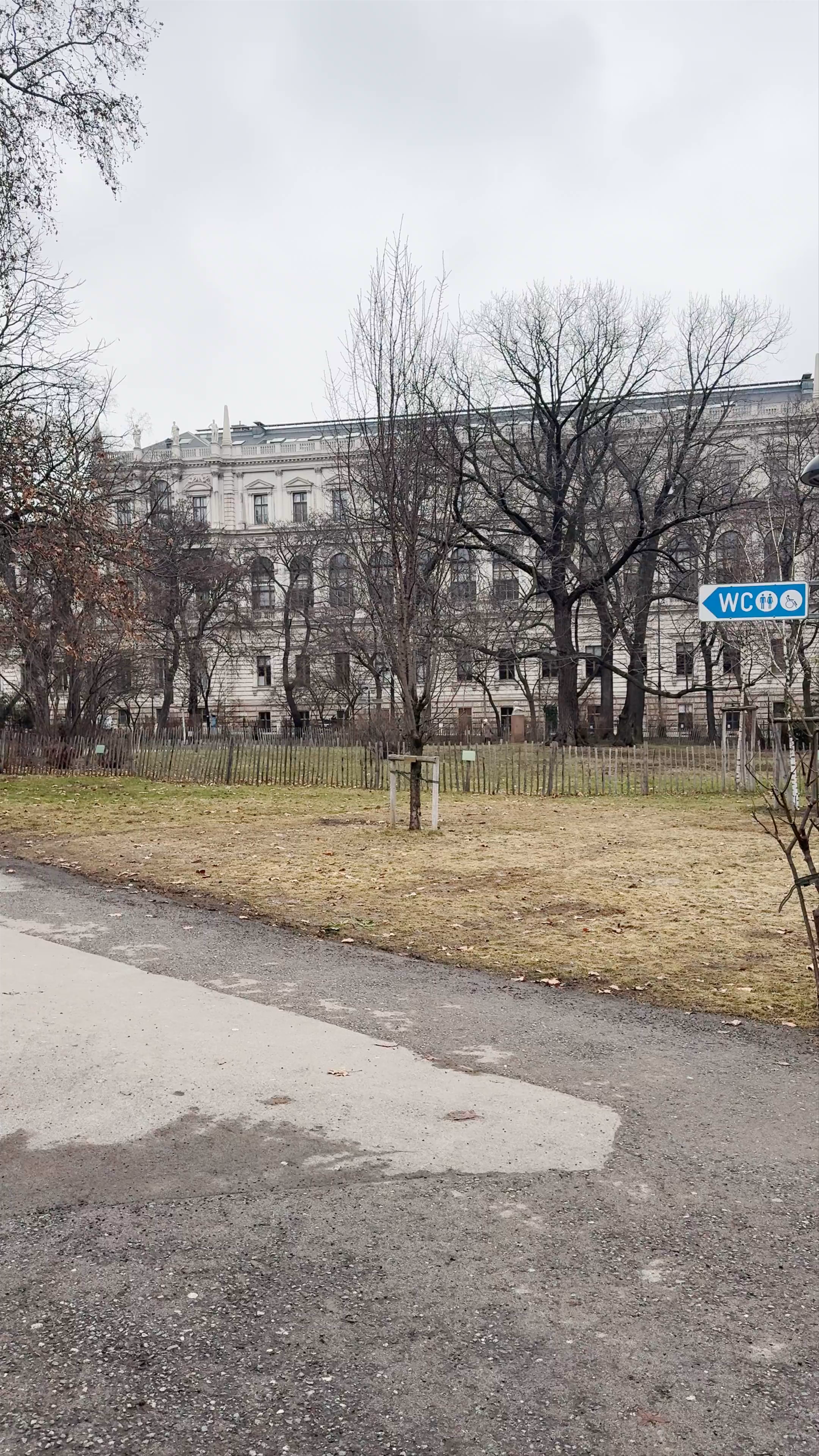 Winter Serenity at Rathauspark in Vienna