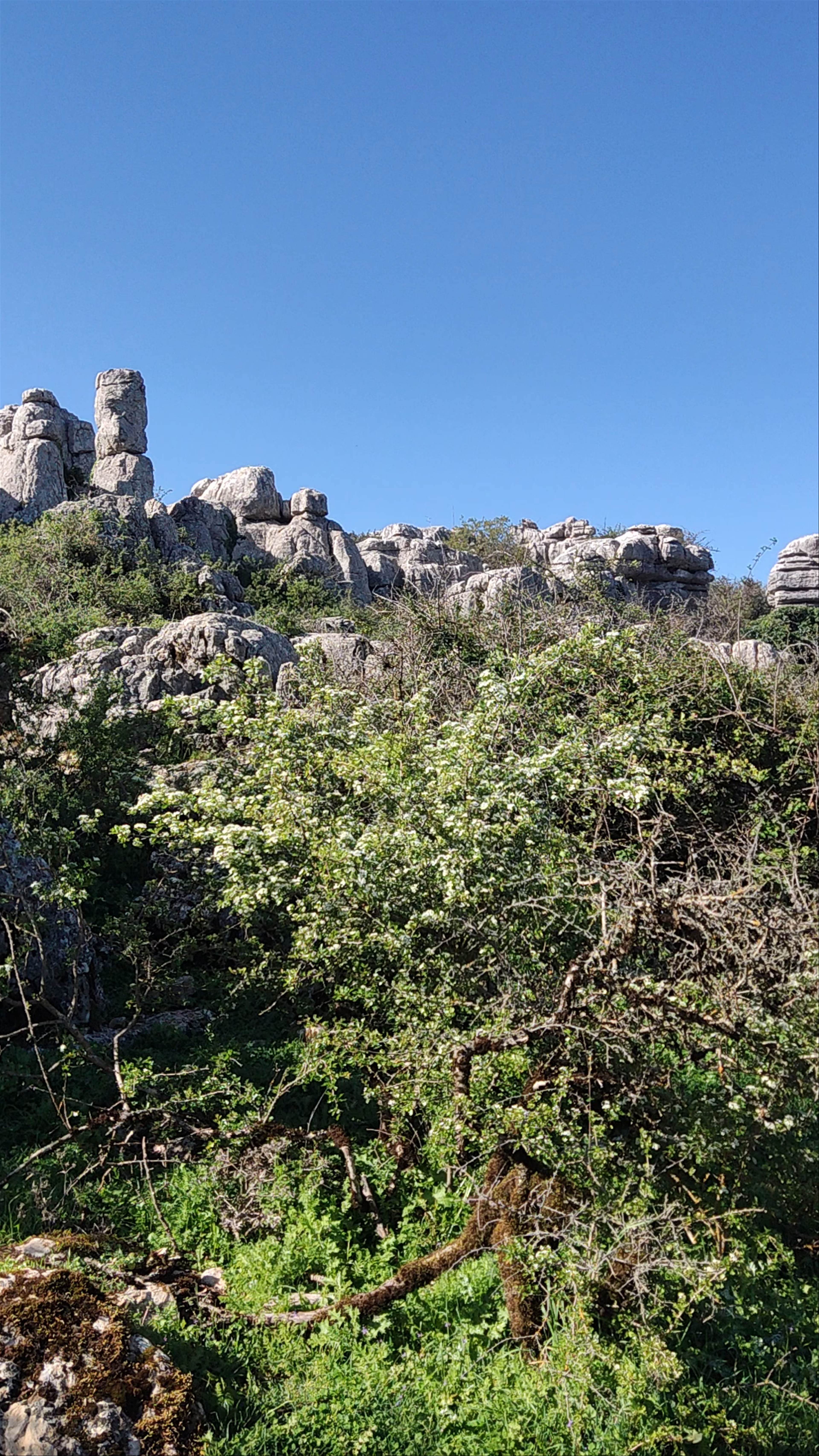 El Torcal de Antequera: Majestic Limestone Formations in Andalucía