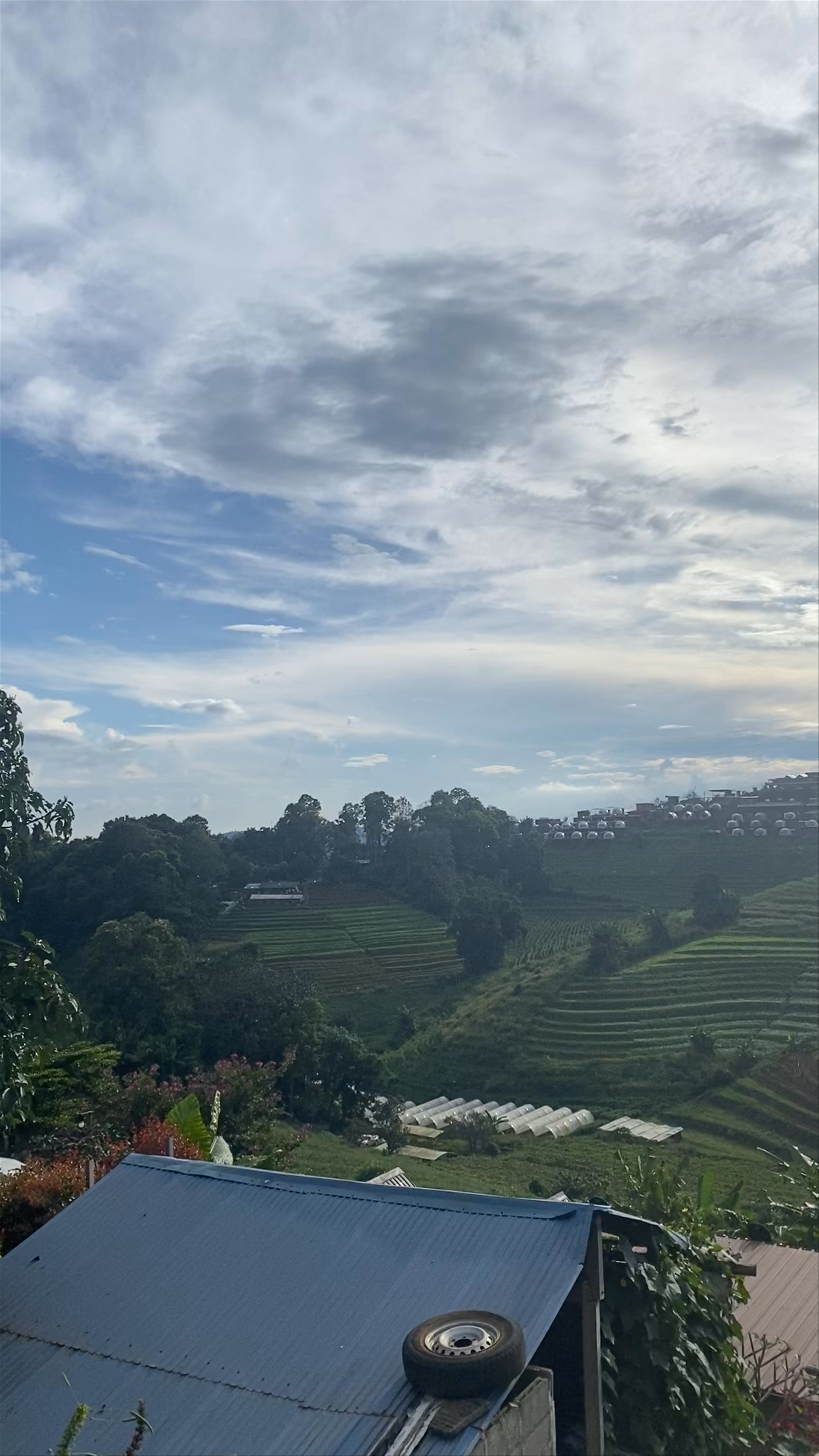 Mae Rim