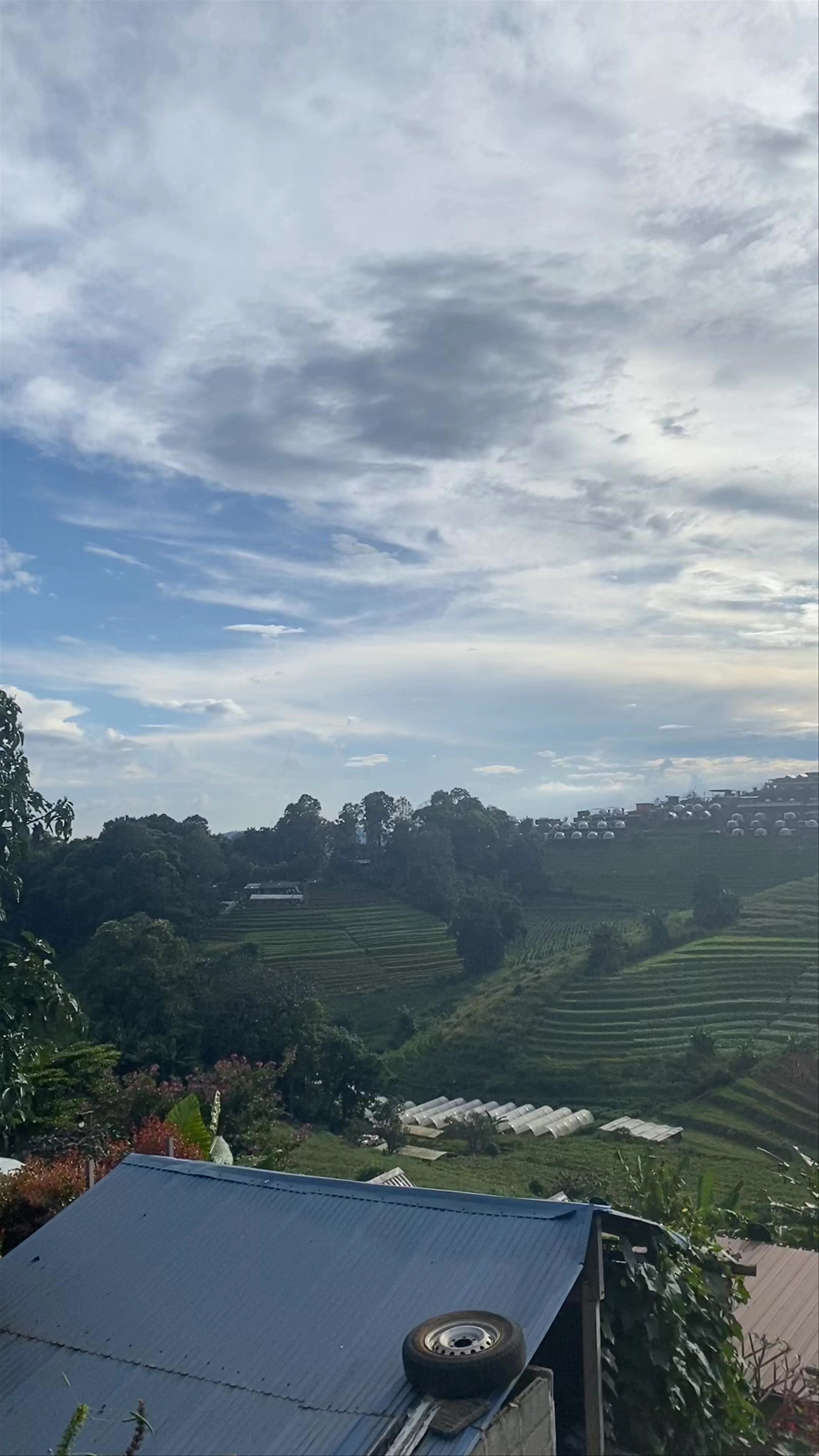 Mae Rim