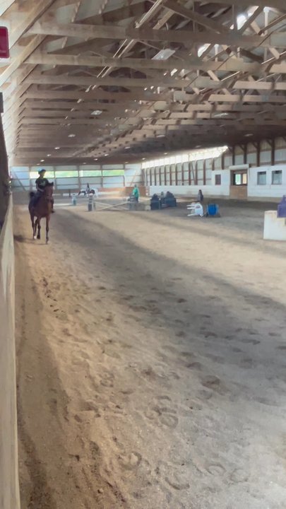 Foxcreek Stable - Horseback Riding Near Me - Wauconda, Illinois