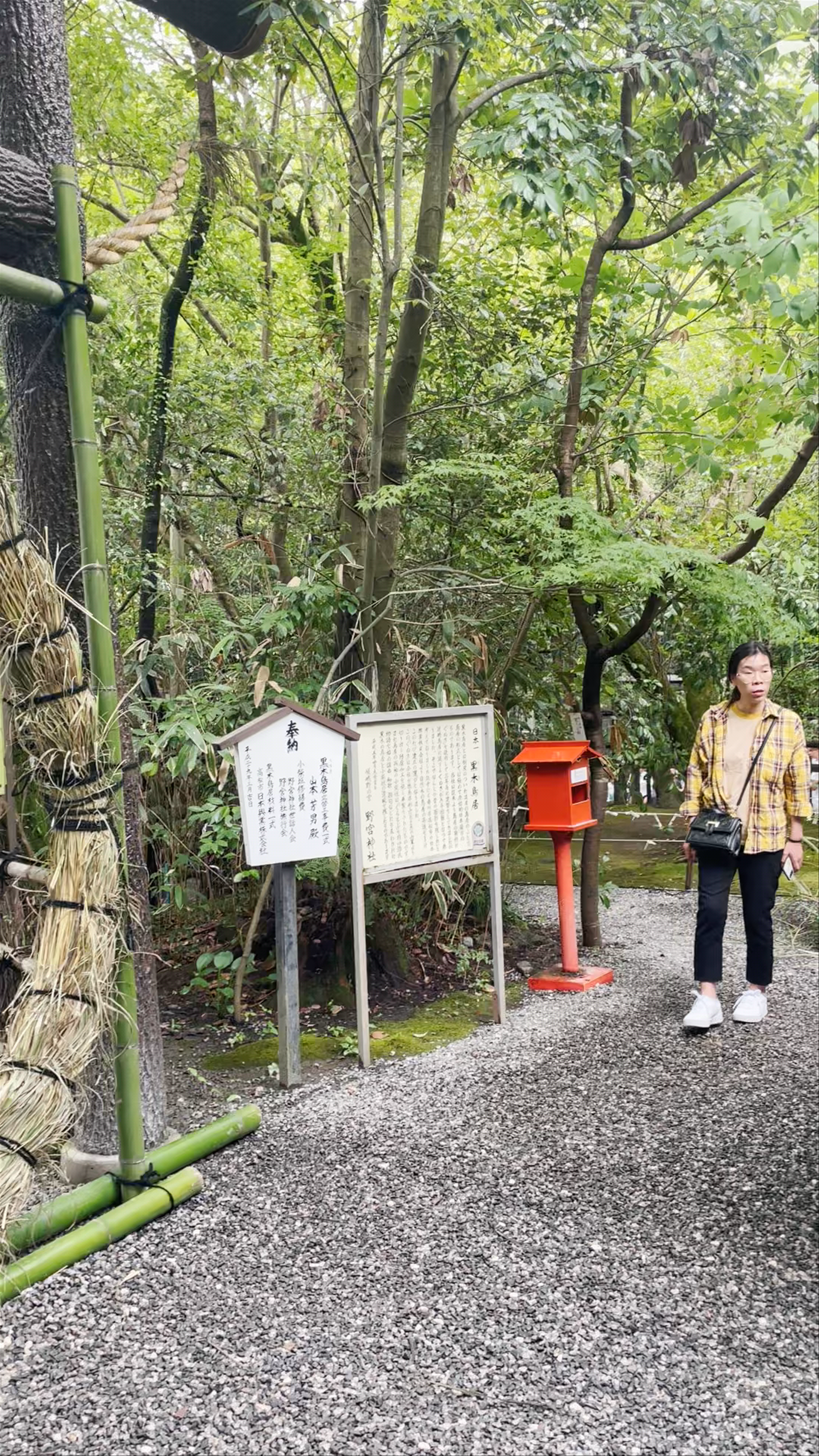 Arashiyama Bamboo Grove