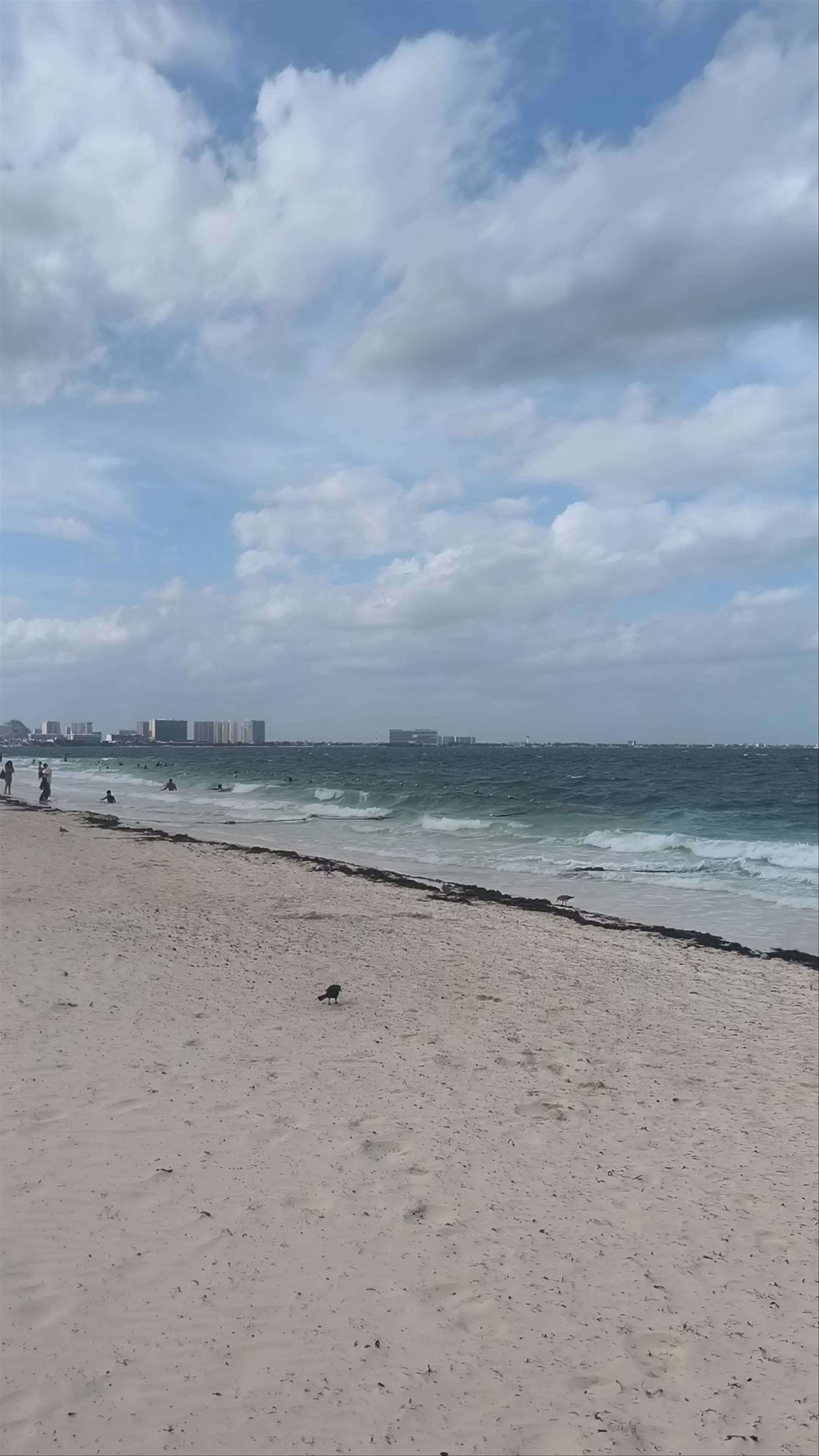 Playa Tortugas: Vibrant Coastal Escape in Quintana Roo, Mexico