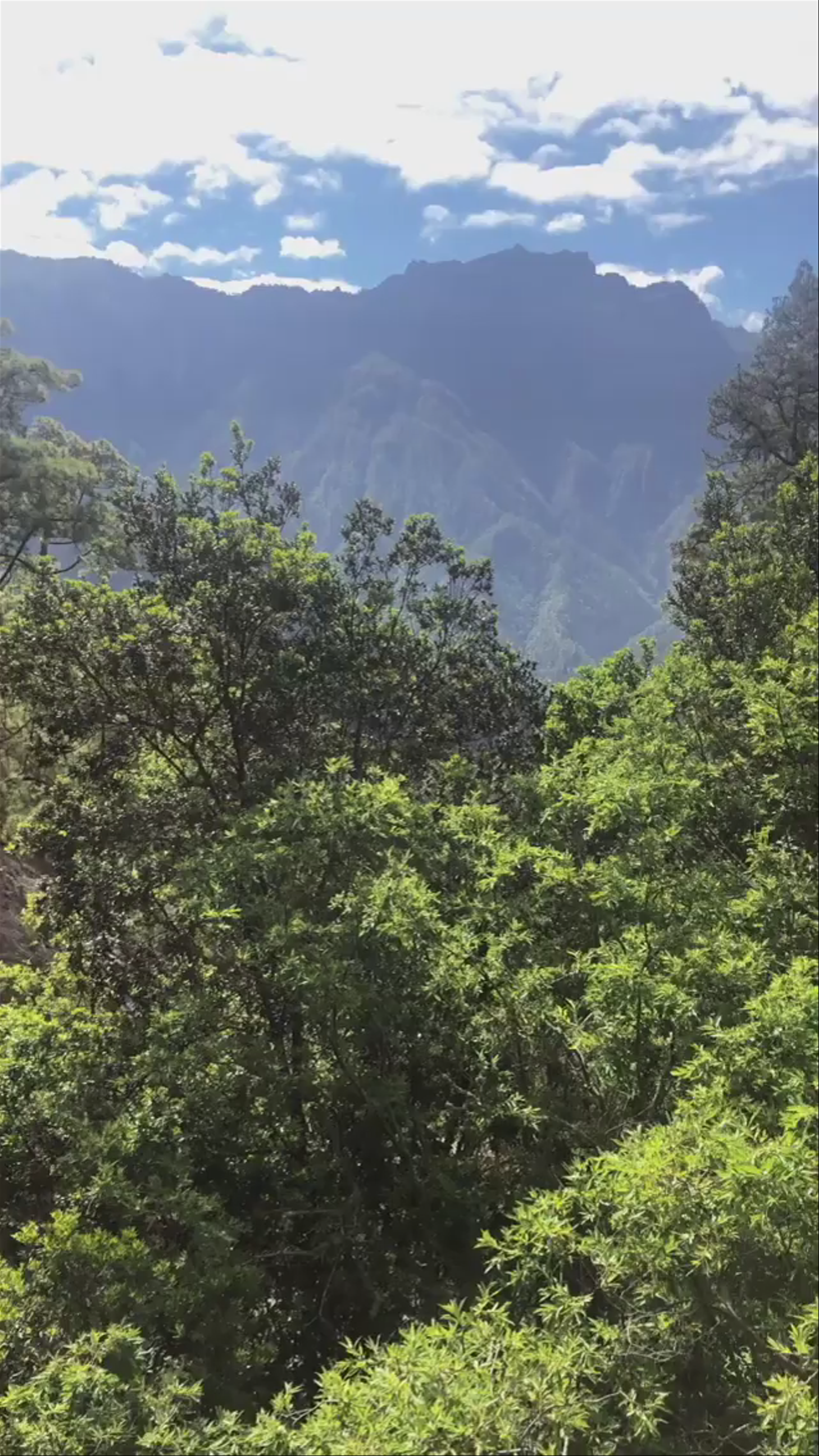 Caldera de Taburiente National Park