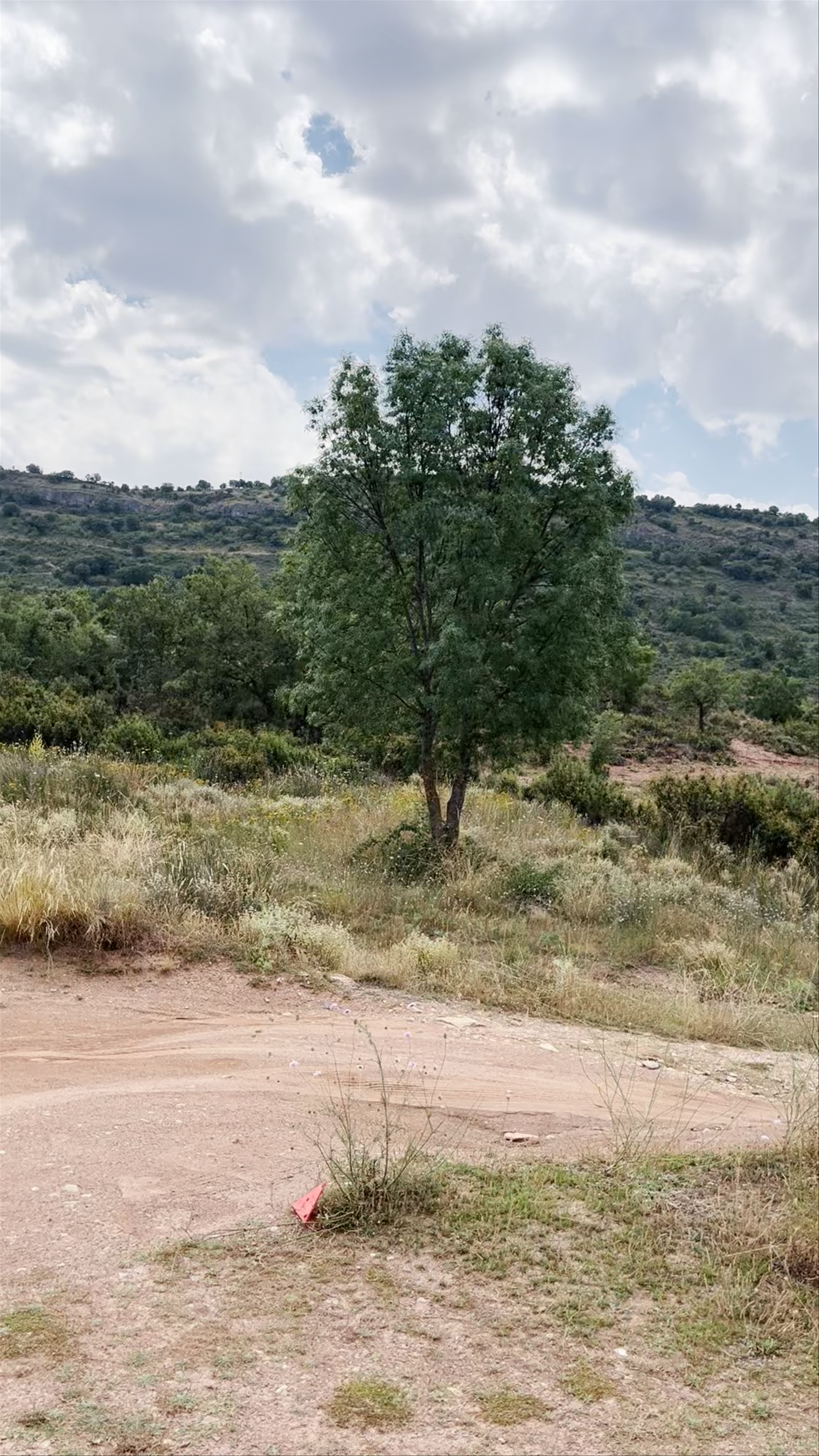 Zona de baño de Alcorlo