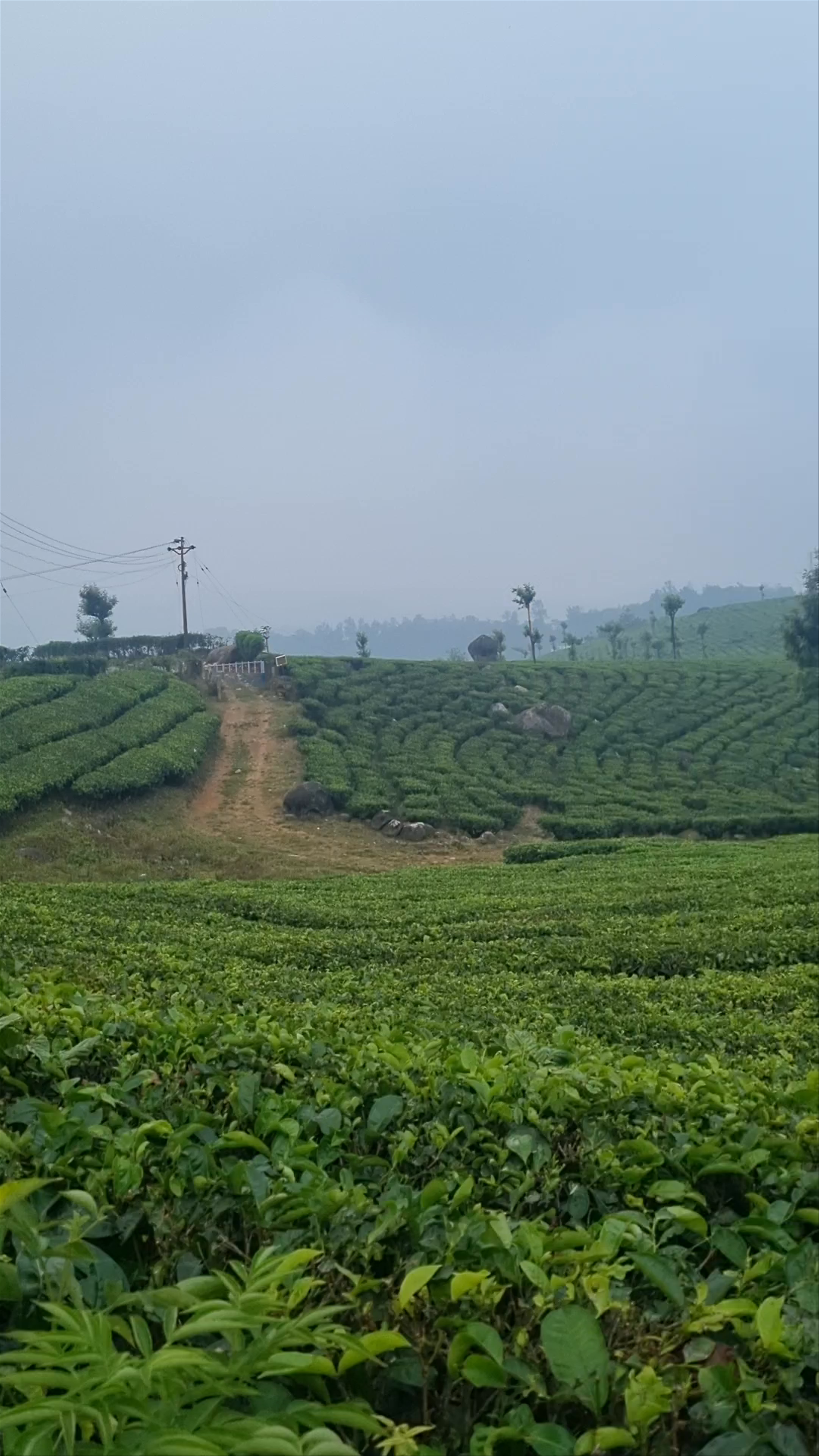 Misty mountain view point
