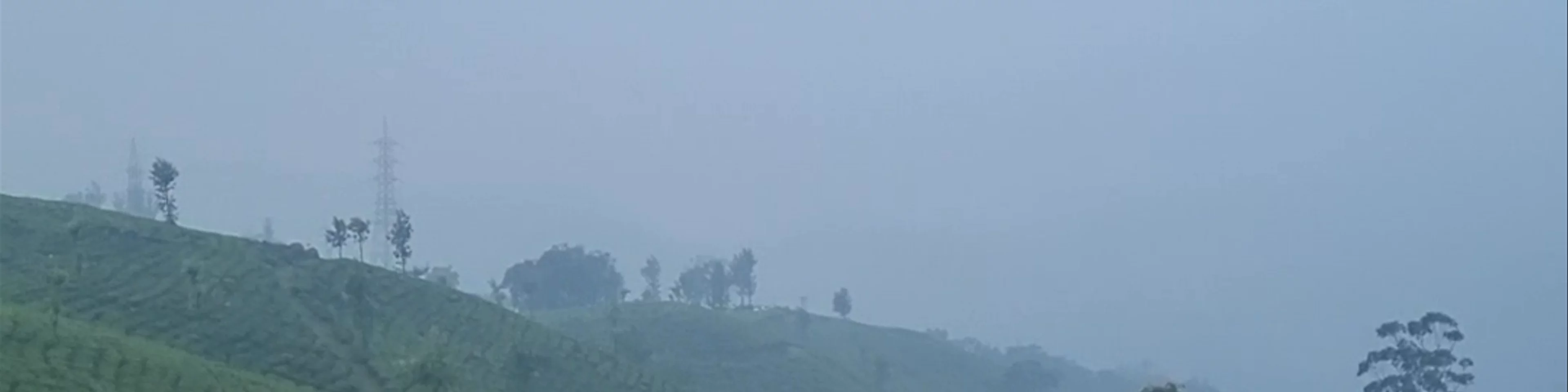 Misty mountain view point