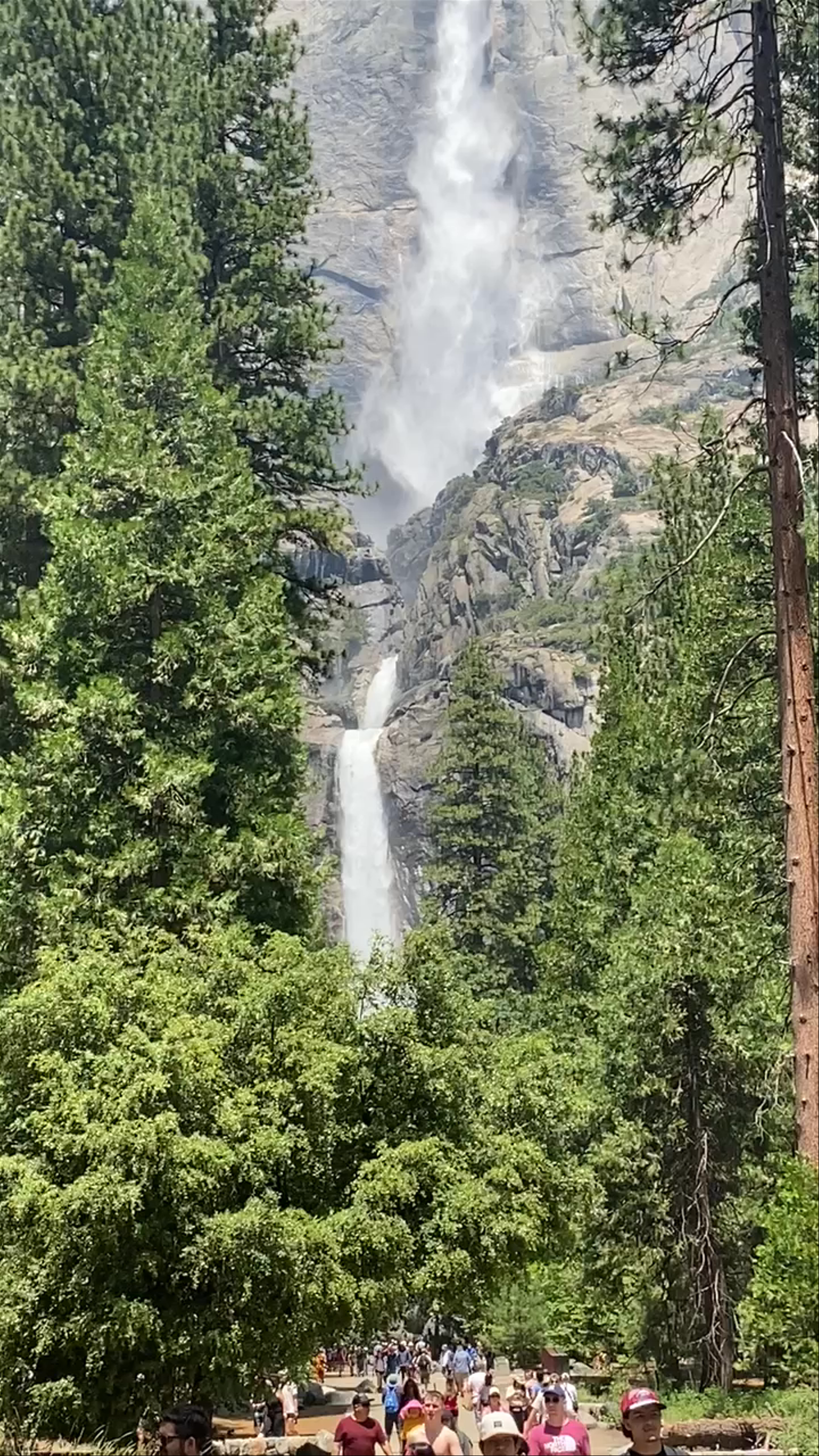 Yosemite National Park